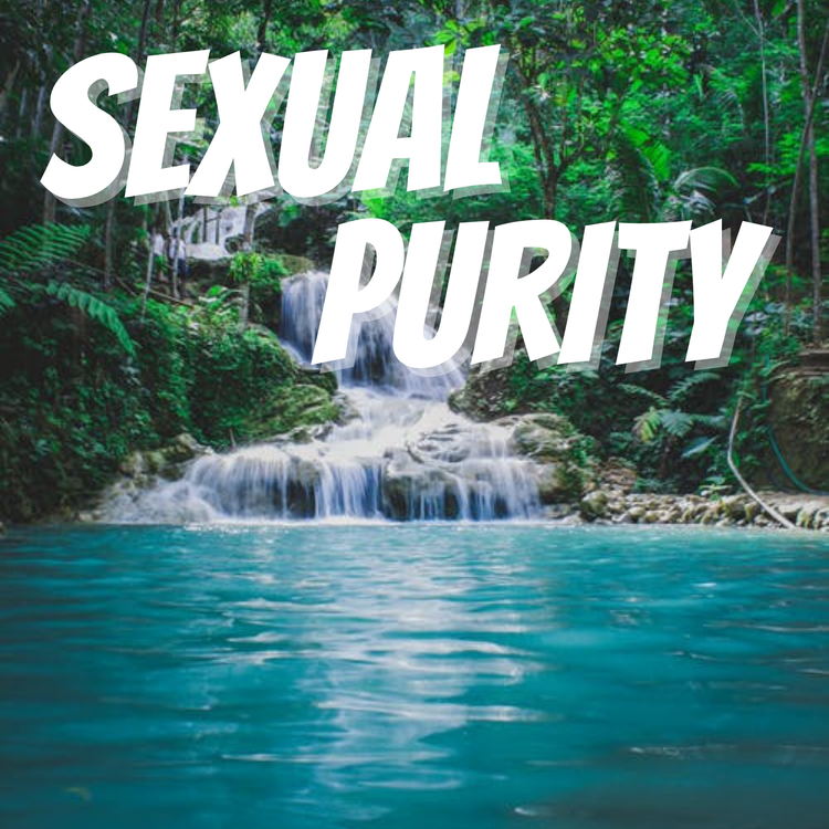 SEXUAL PURITY PART 2