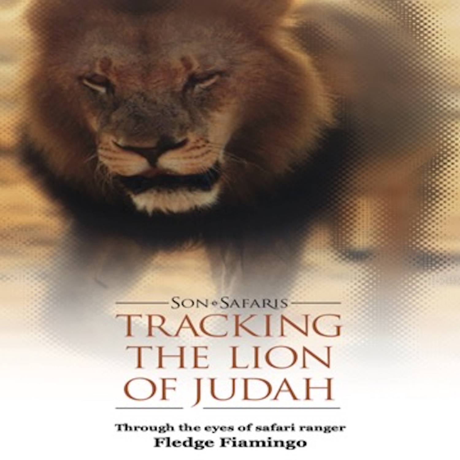 Tracking the Lion of Judah