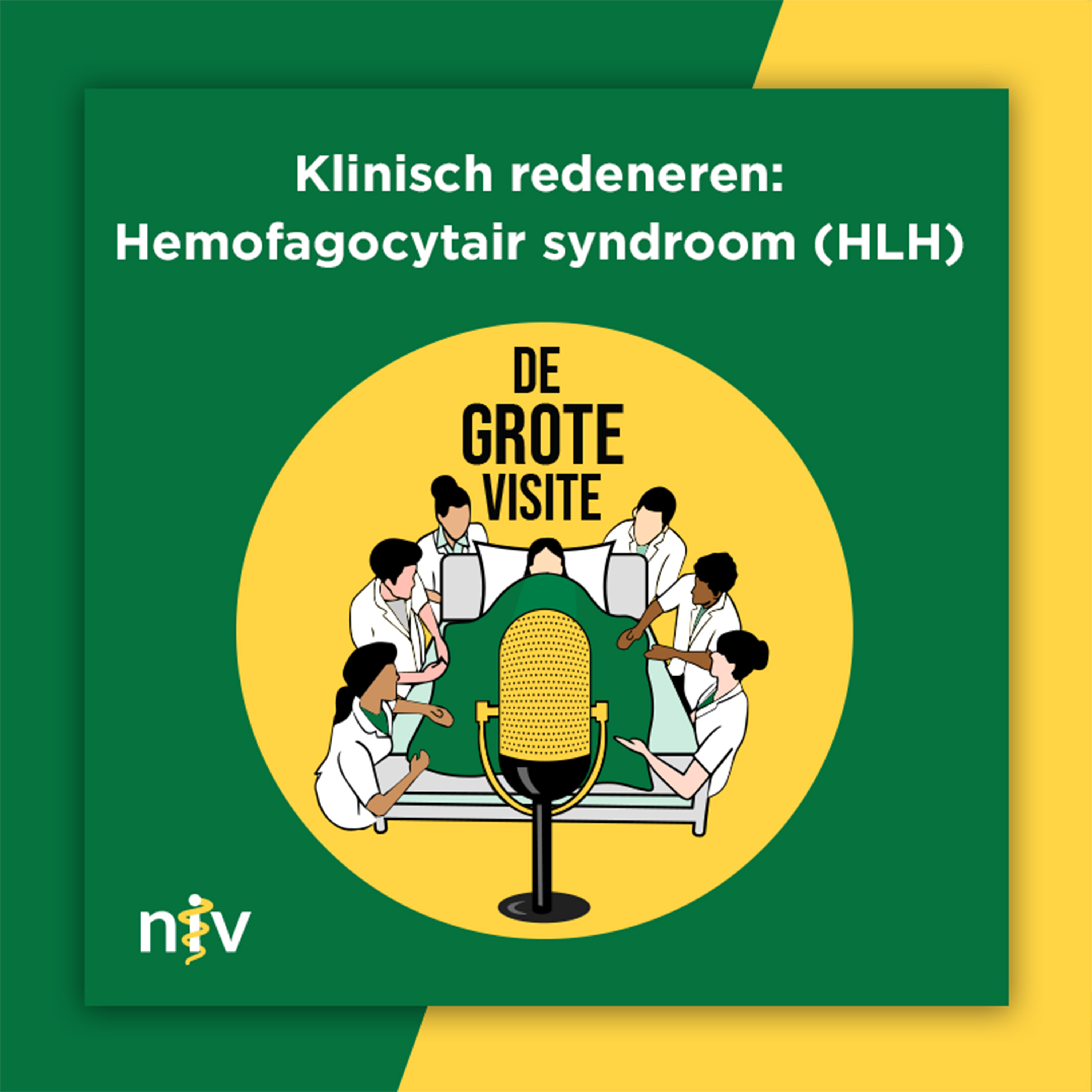 41. Klinisch redeneren: Hemofagocytair syndroom (HLH)