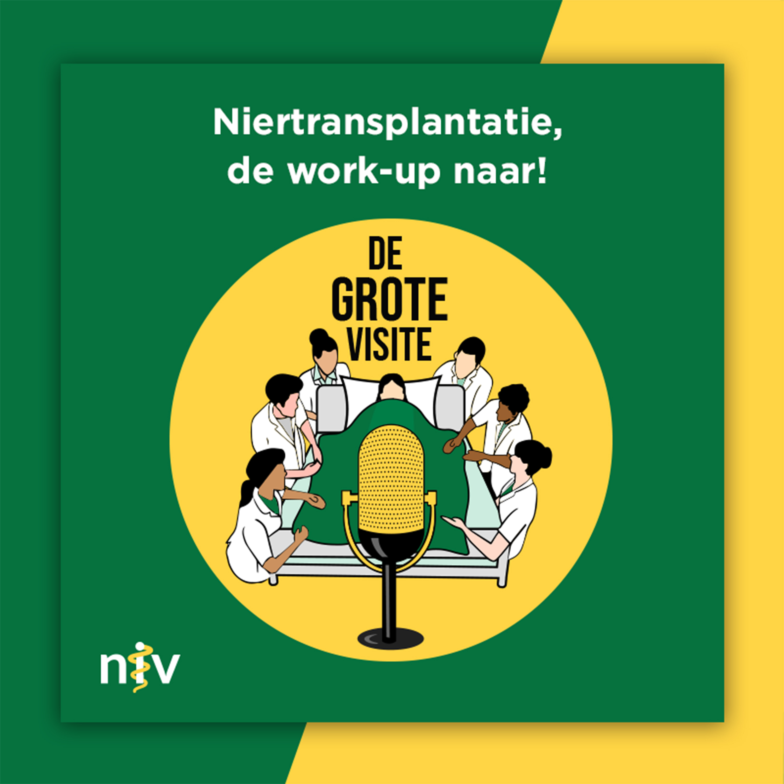 62. Niertransplantatie, de work-up naar!