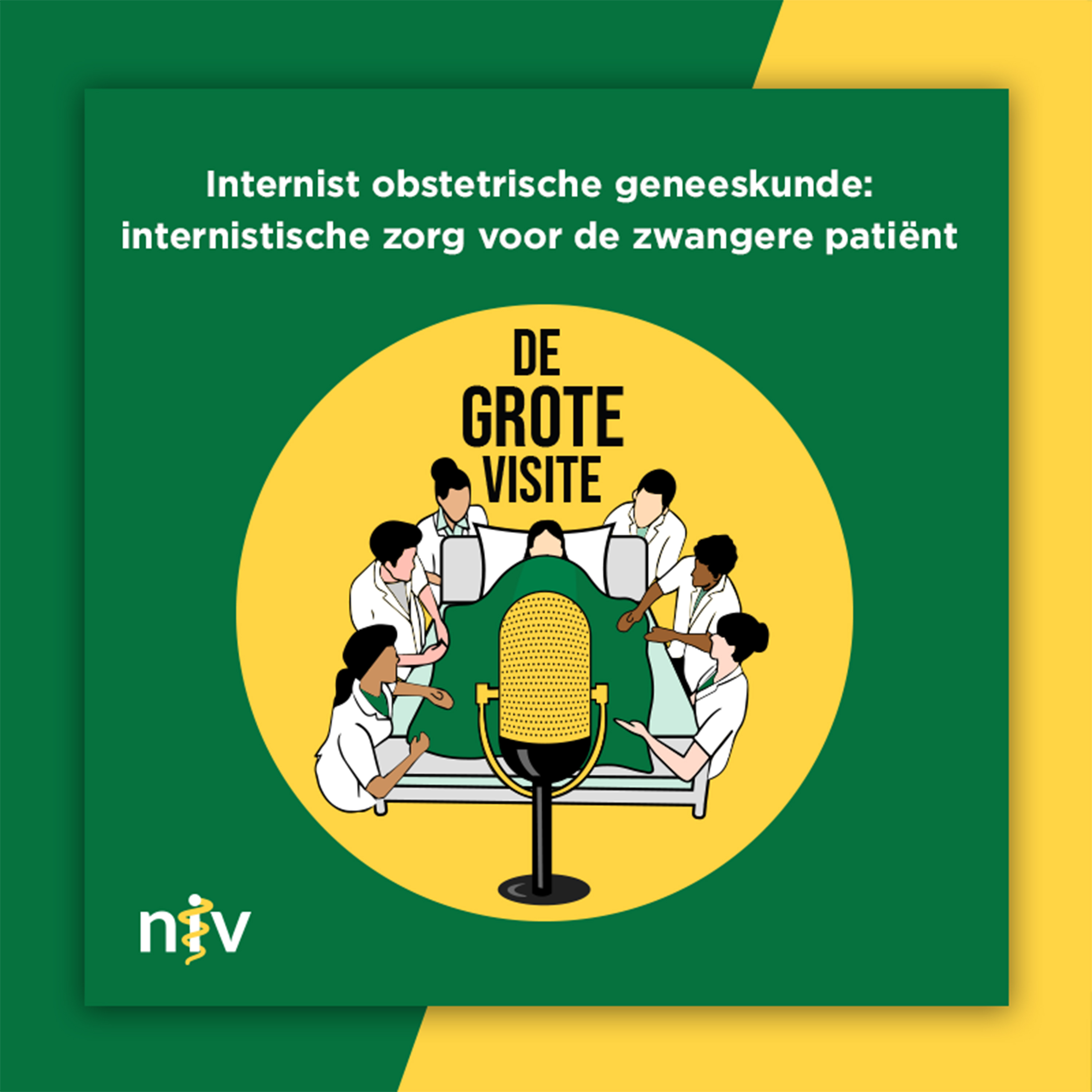 64. Internist obstetrische geneeskunde: internistische zorg voor de zwangere patiënt