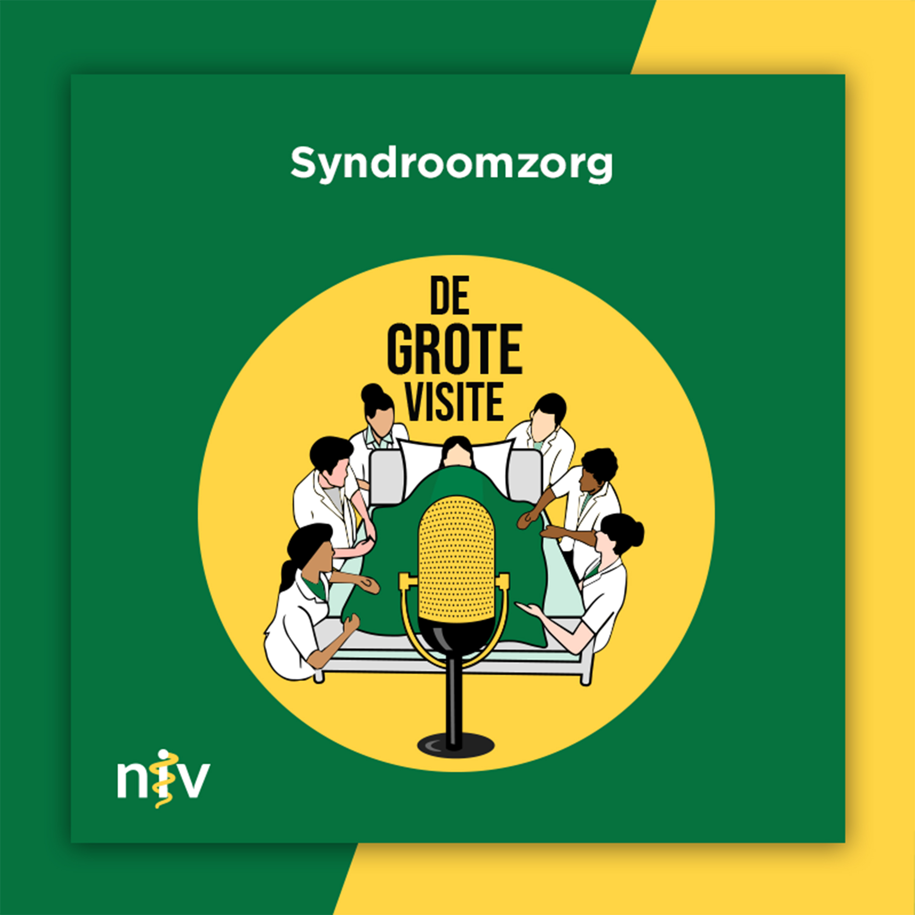 De Grote Visite