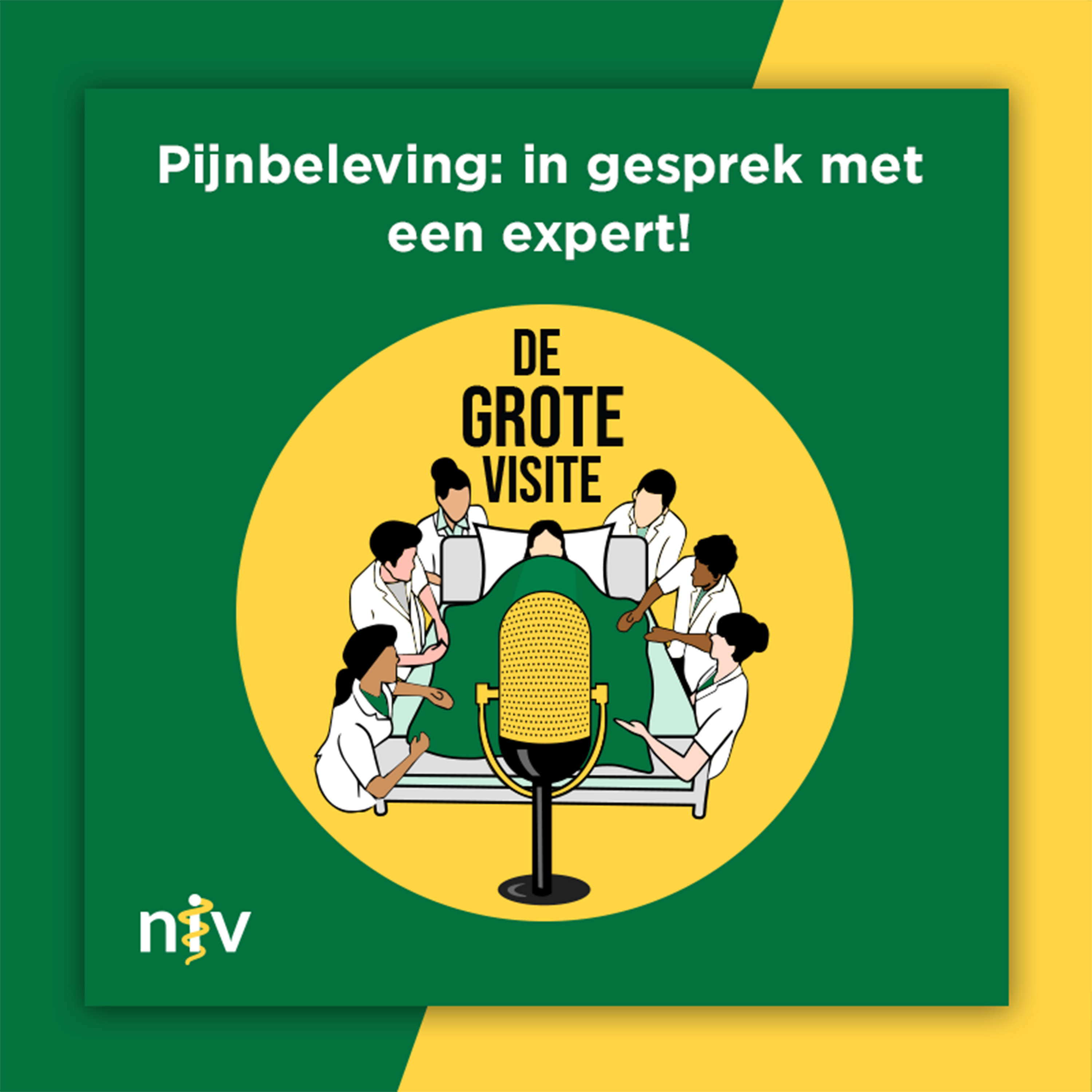 78. Pijnbeleving: in gesprek met een expert!