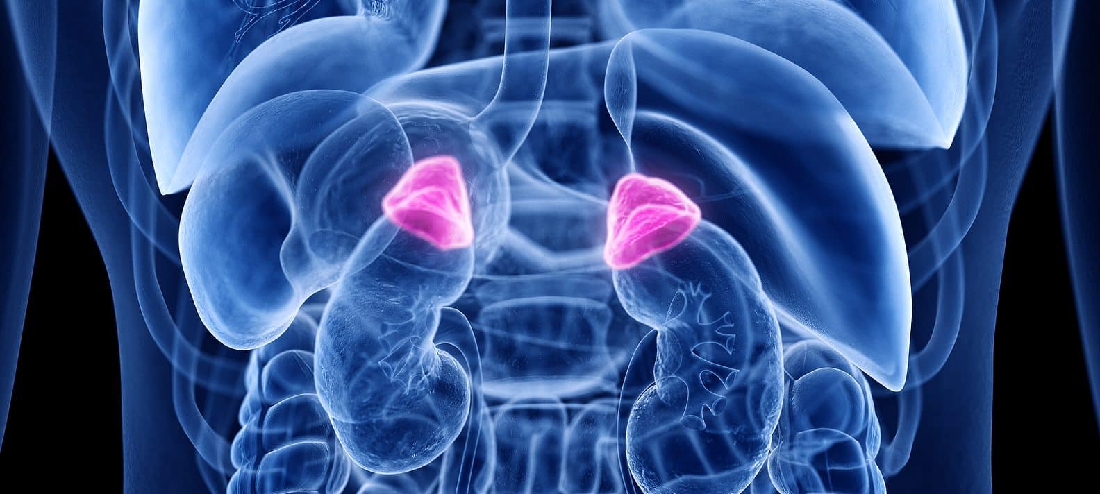 Podcast Secundaire Bijnierschorsinsufficiëntie