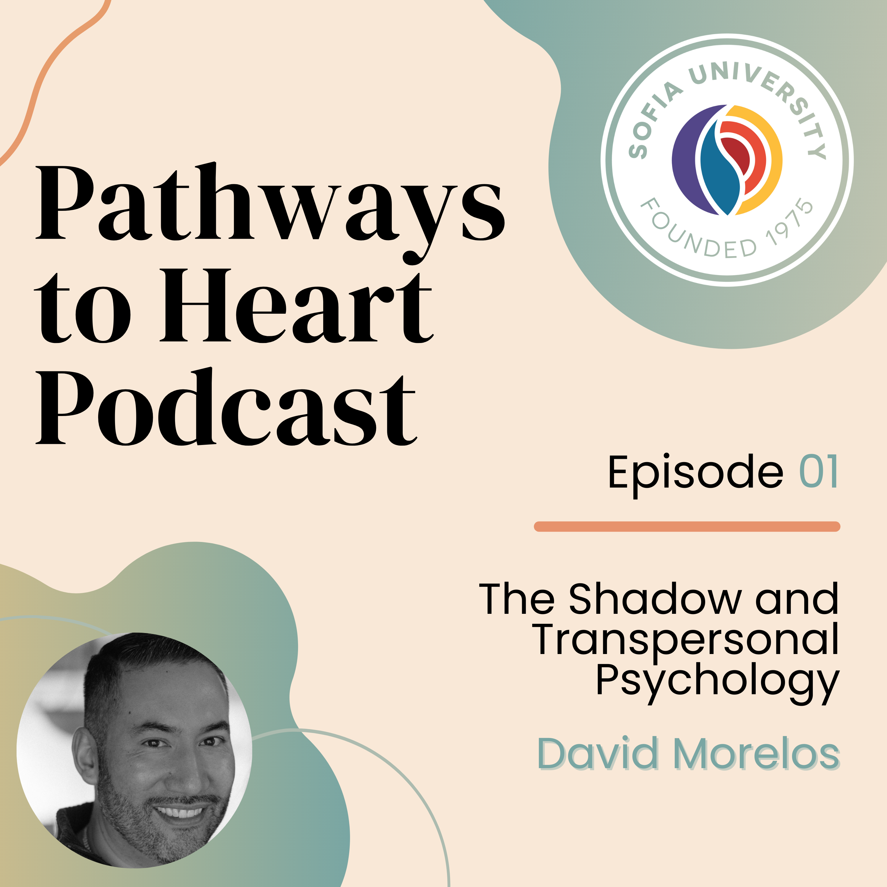 The Shadow and Transpersonal Psychology