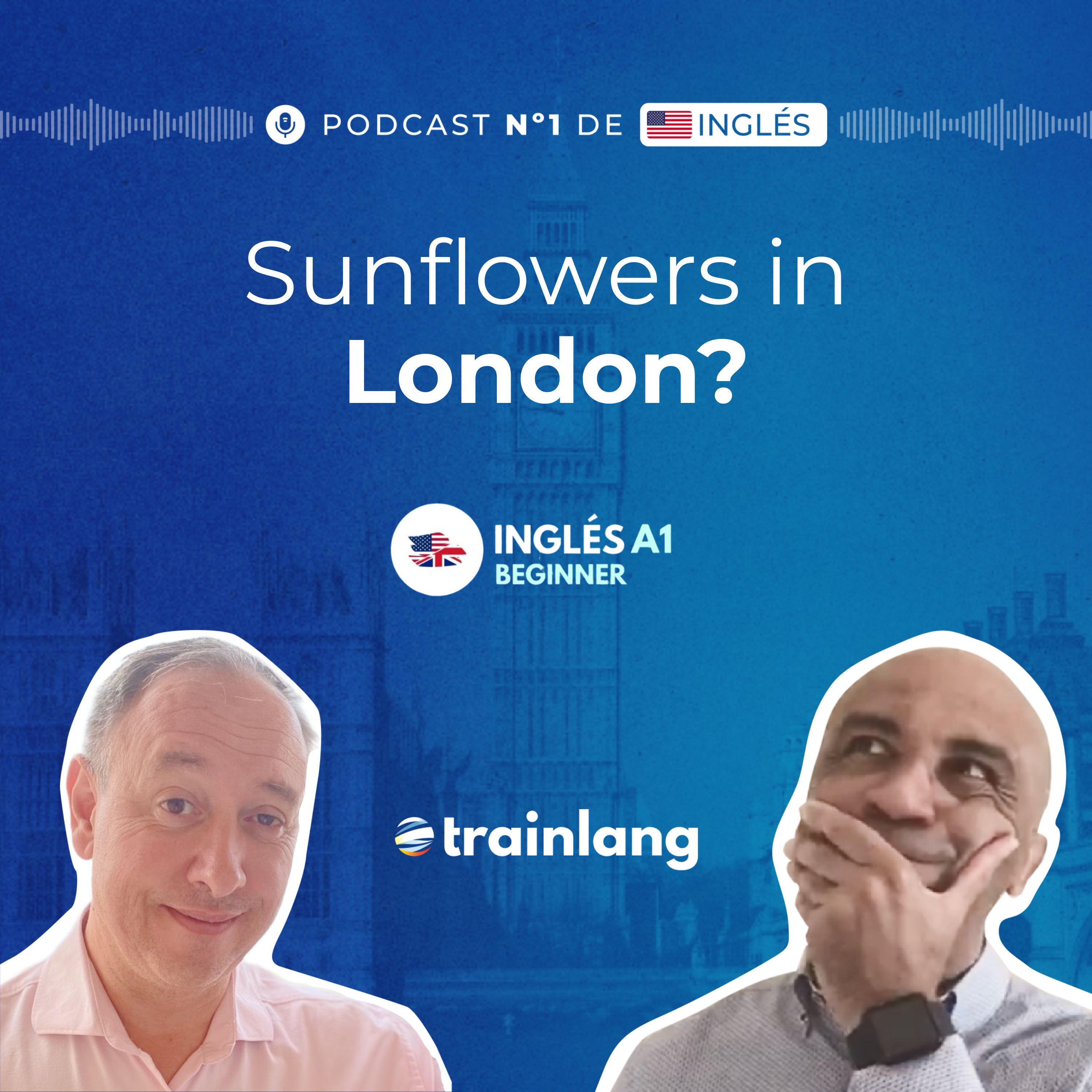 #5 Verb to Be – Negative Form and Questions: Sunflower Fields | Podcast para aprender inglés | A1