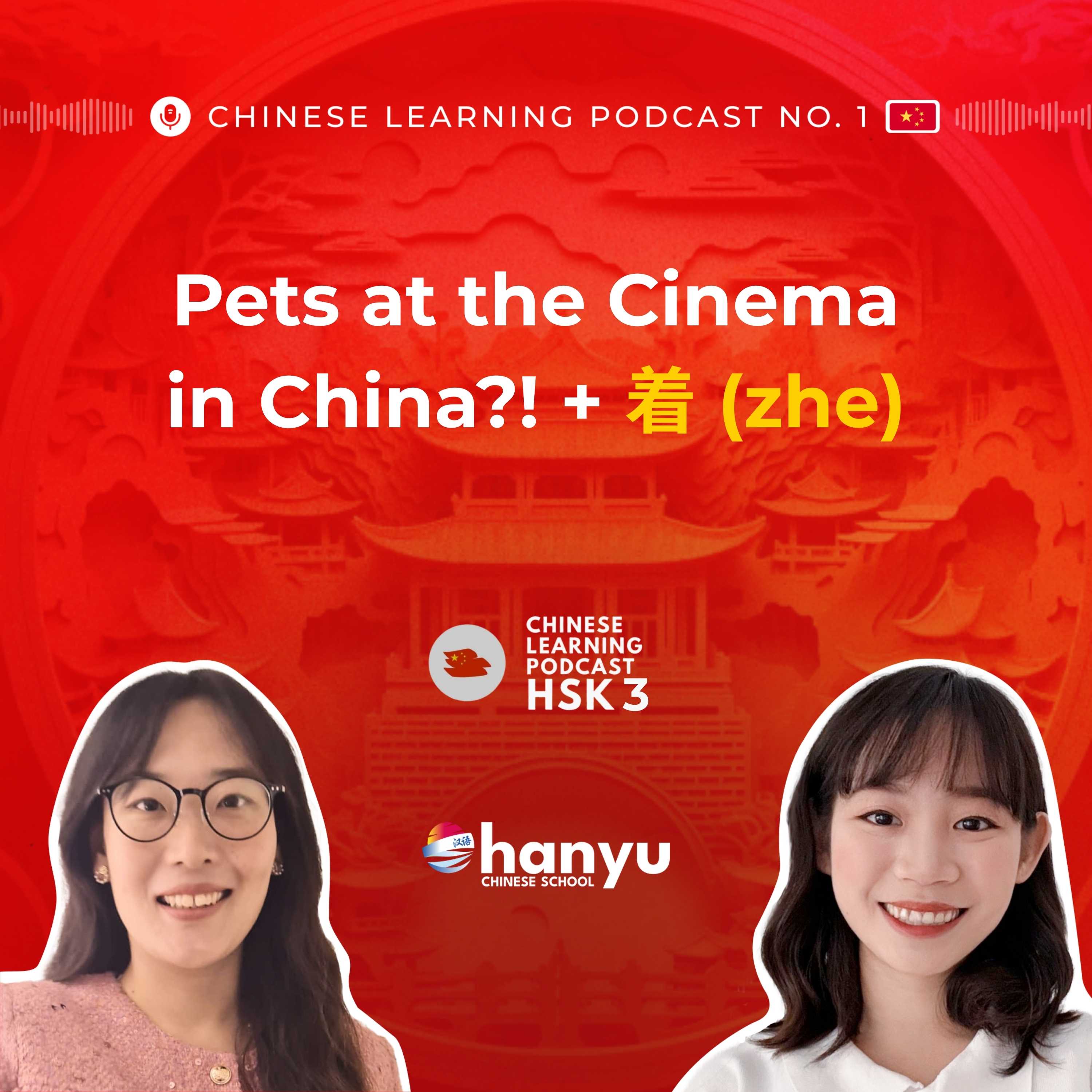 #8 着 (zhe) for Adverbial Complements | Watching Movies with Pets | Learn Chinese Online | HSK 3