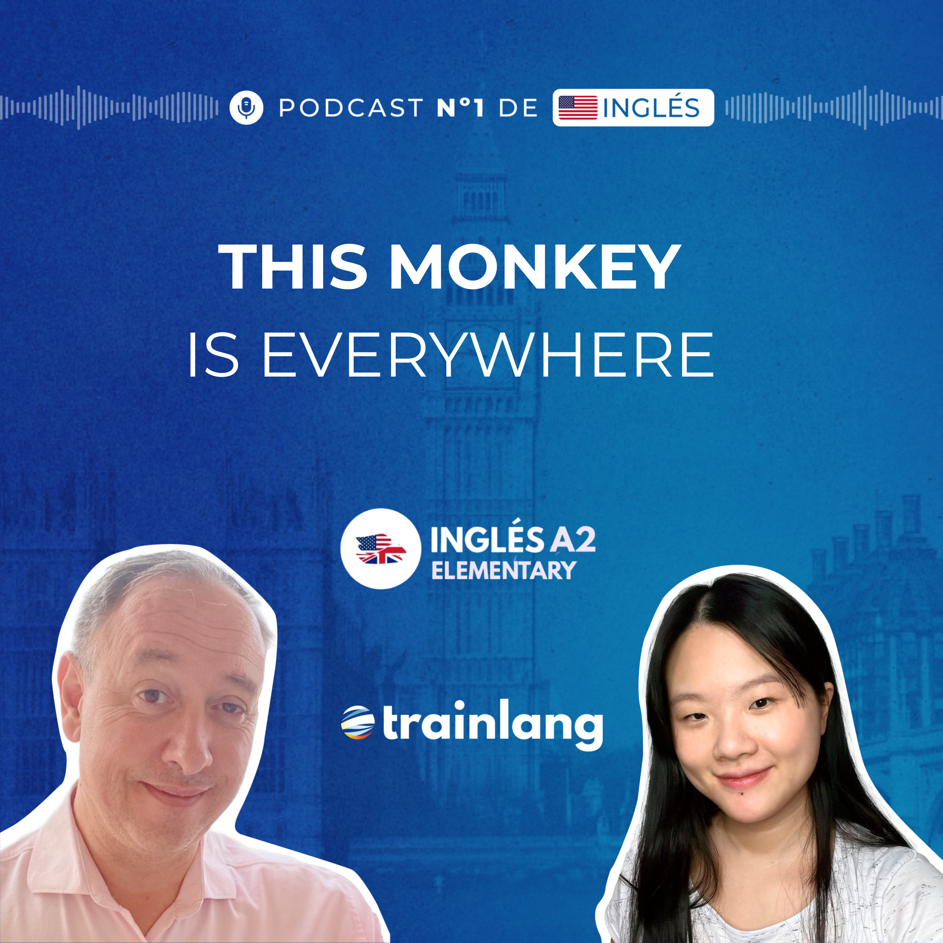 #8 Frequency Adverbs in English | Punch the Monkey Viral Trend Explained | A2