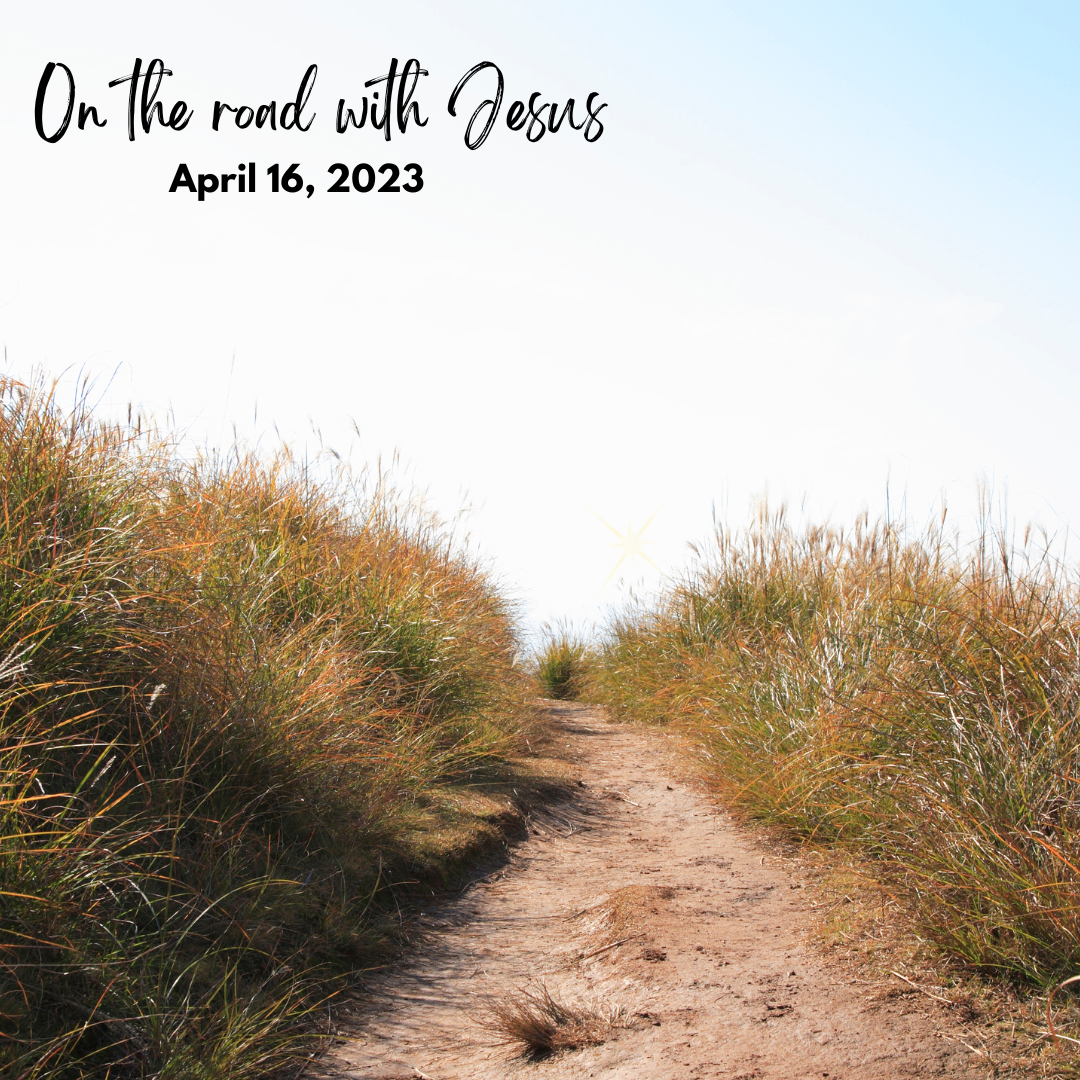 Episode Cover