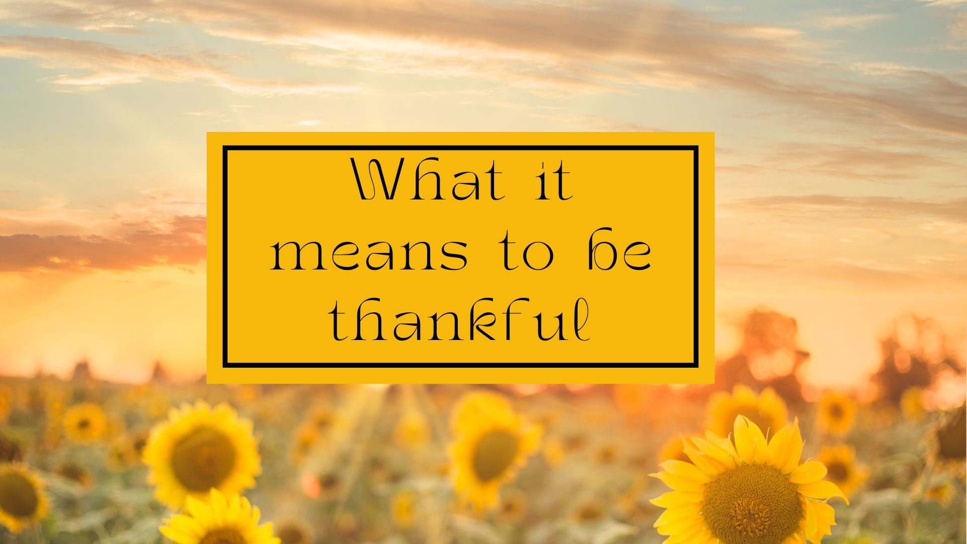 What it means to be thankful