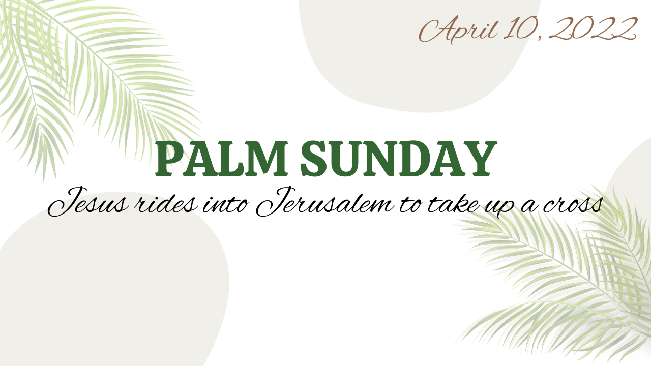 Palm Sunday: Jesus rides into Jerusalem to take up a cross