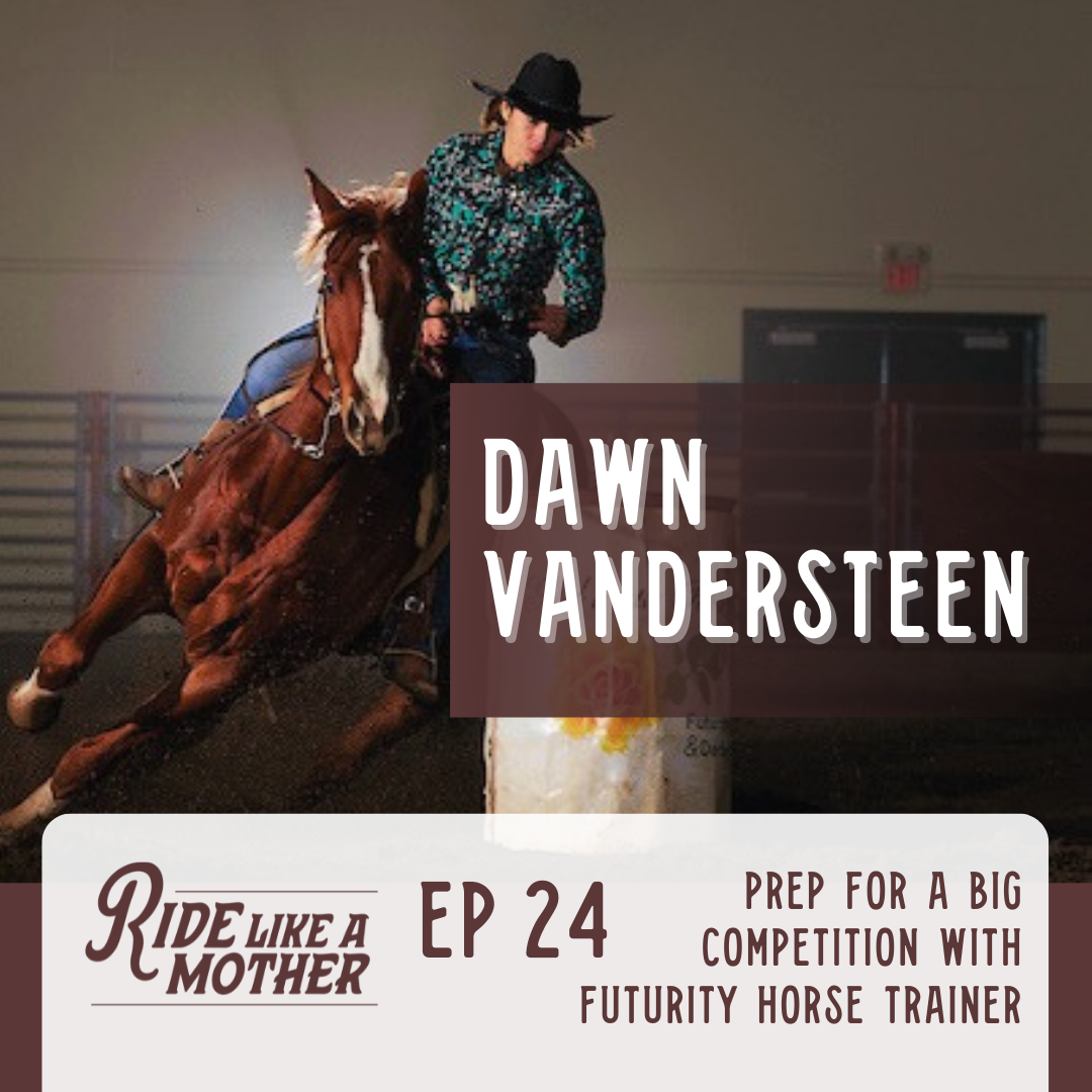 Prep for a big competition with Dawn Vandersteen, Futurity Horse Trainer.