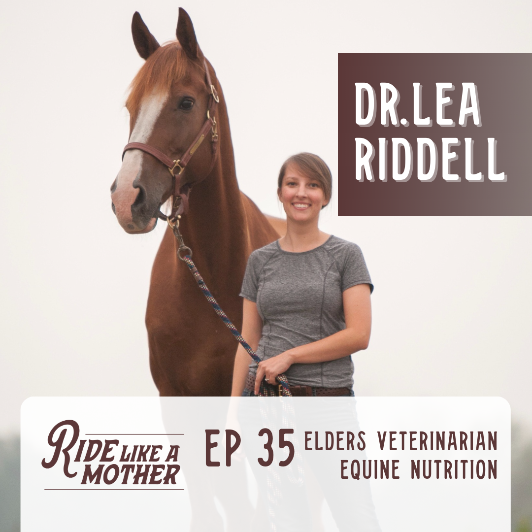 Spring Equine Nutrition with Dr. Lea Riddell from Elder's Equine Veterinary Clinic