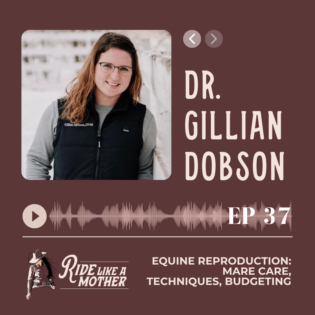 Equine Reproduction and Breeding with Dr. Gillian Dobson