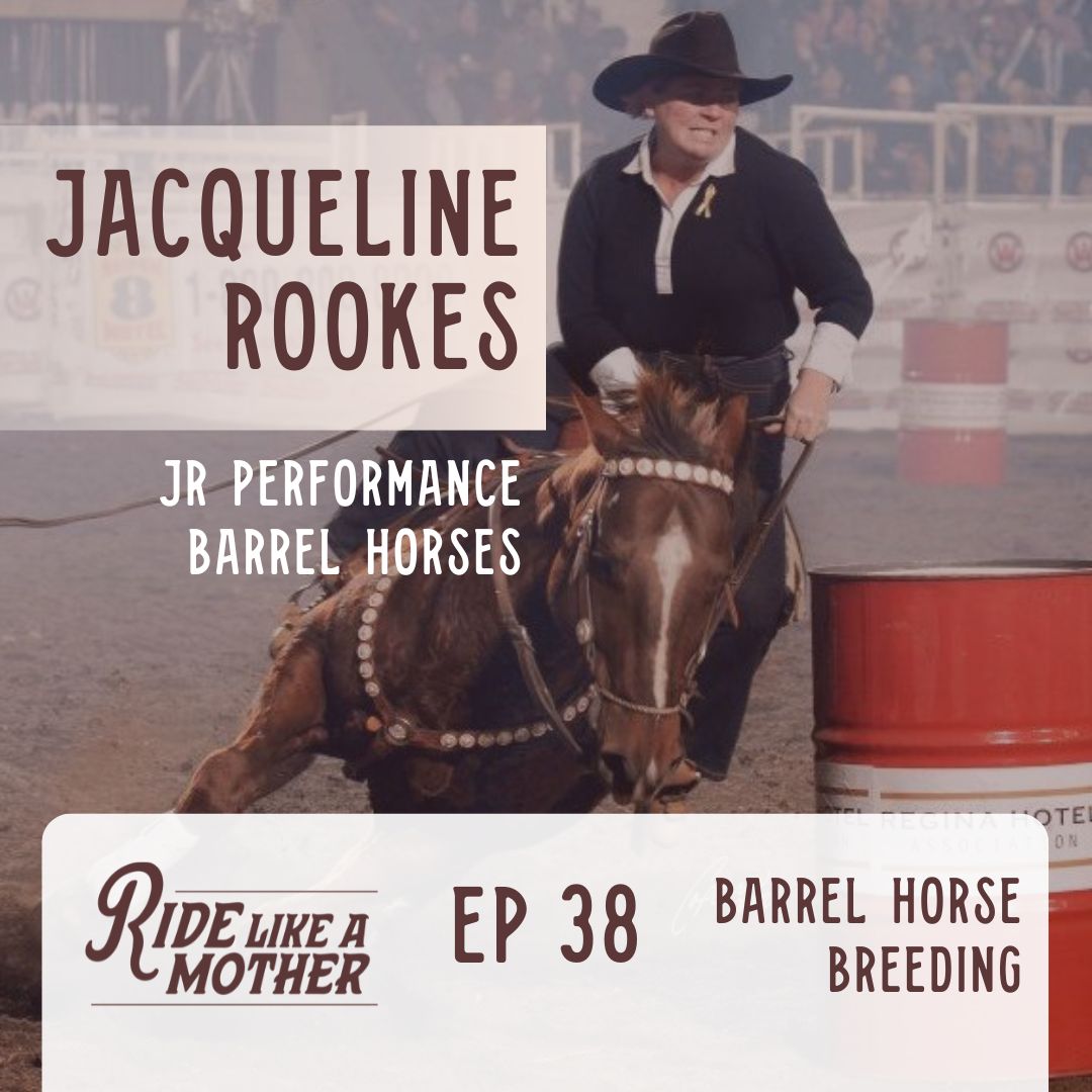Barrel Horse Genetics with Jacqueline Rookes of JR Performance Horses