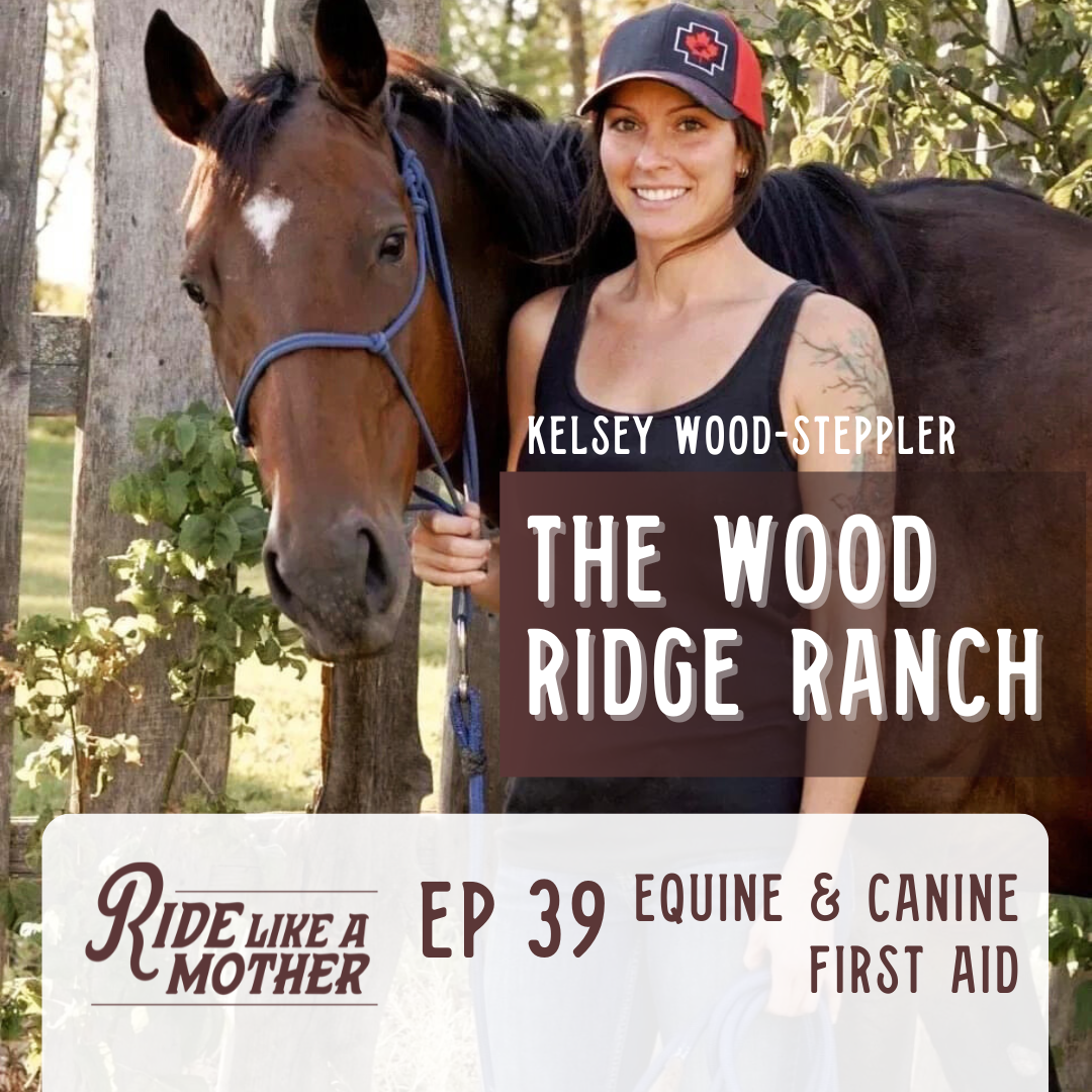 Equine and Canine First Aid with Kelsey Wood-Steppler