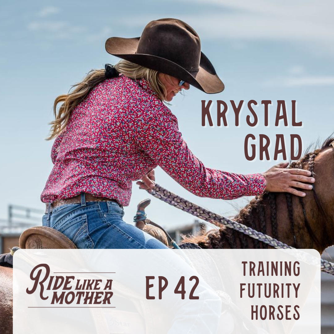 Futurity Horse Training methods, process and obstacles with Krystal Grad 