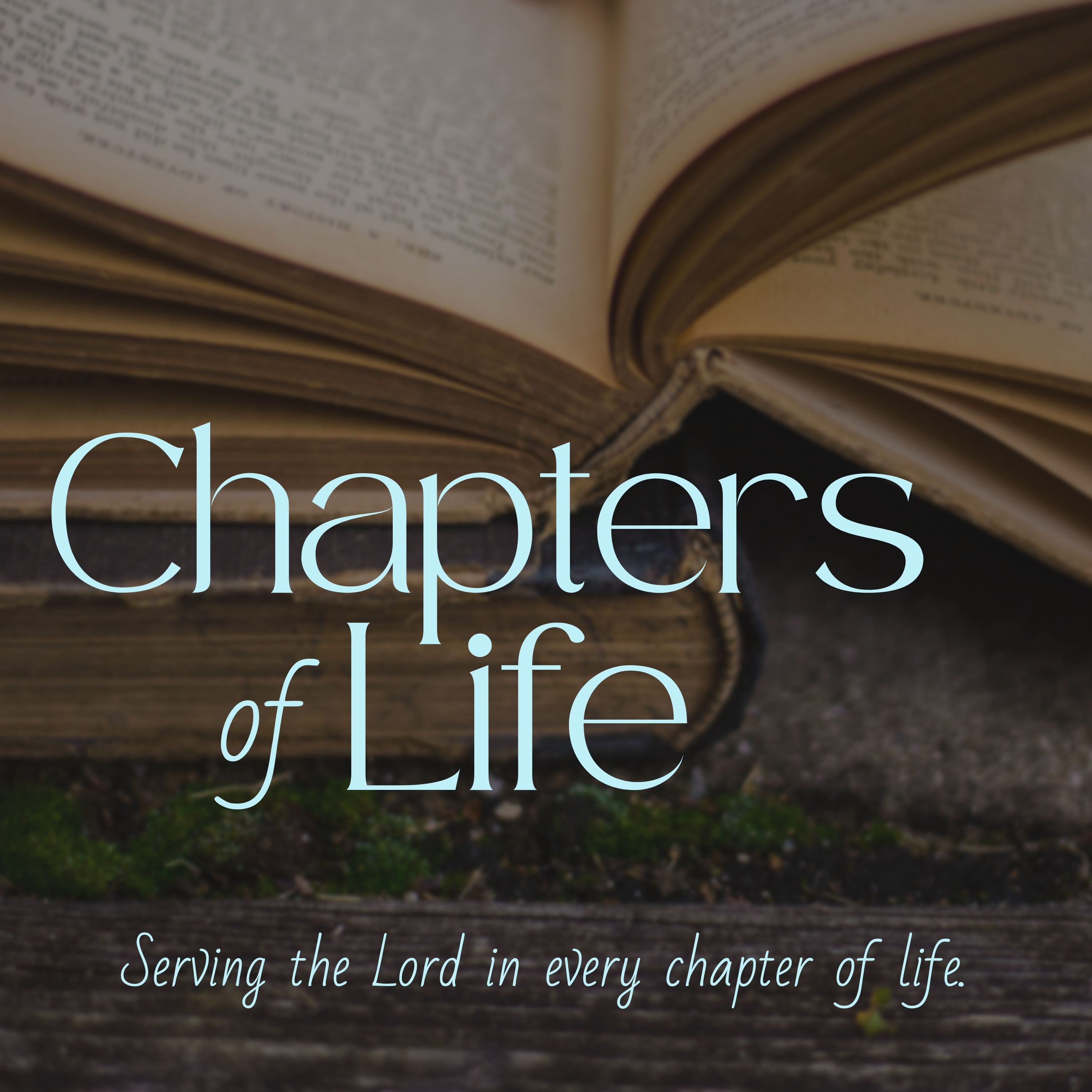 Chapters of Life: The Joys of Childhood