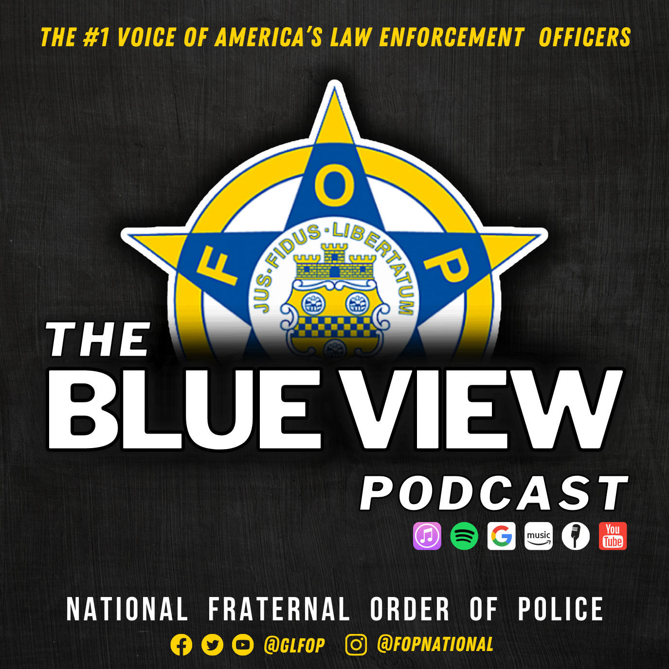 Qualified Immunity: Myths vs Facts with National FOP General Counsel Larry James