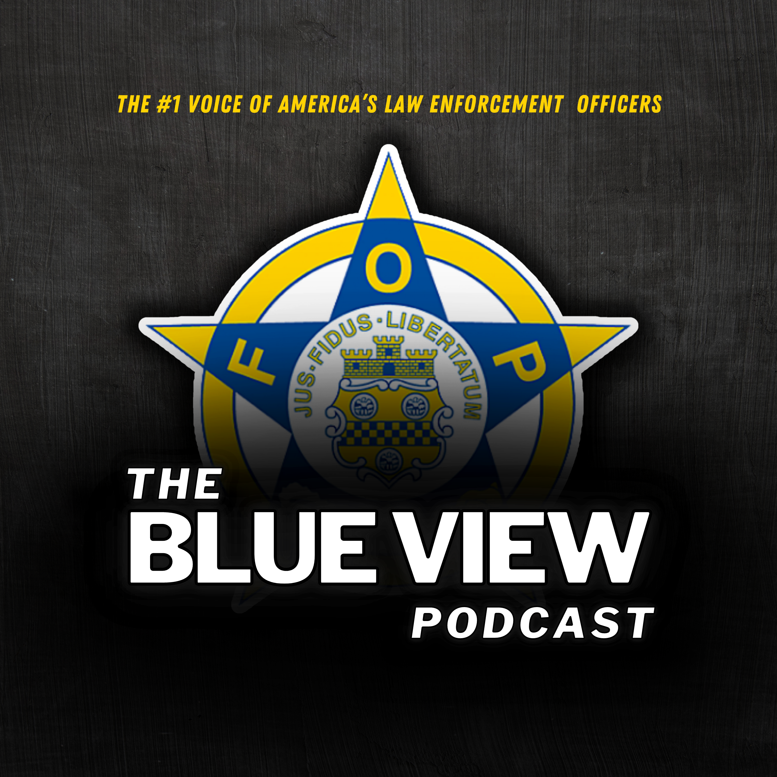 The Reality Of Now: The Challenges Facing America's Law Enforcement with Hugh Clements
