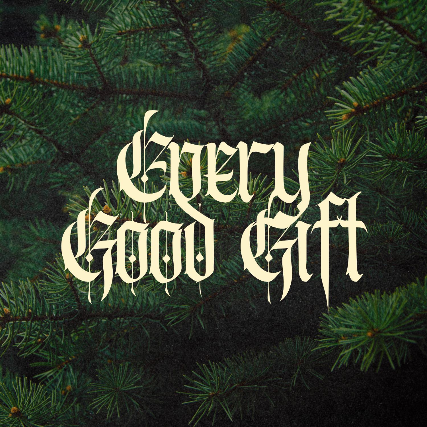 Every Good Gift