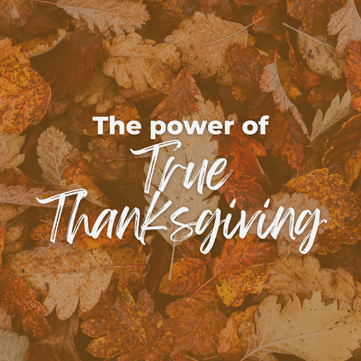 The Power of True Thanksgiving
