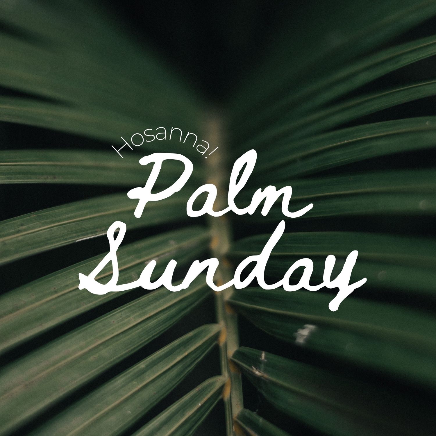 Palm Sunday - Watch The Perils of Freedom