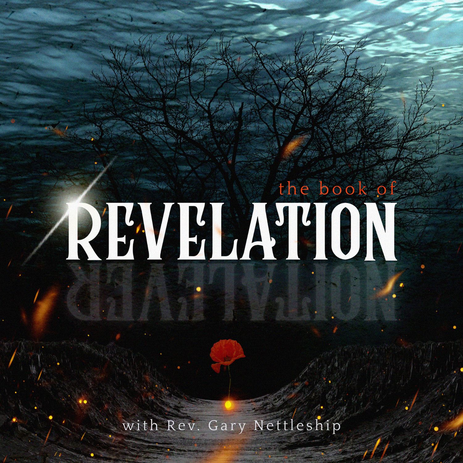 Episode Cover