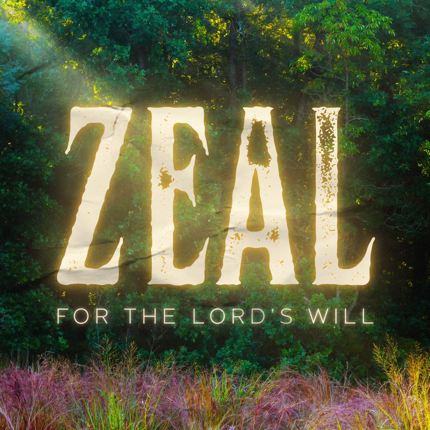 Episode Cover