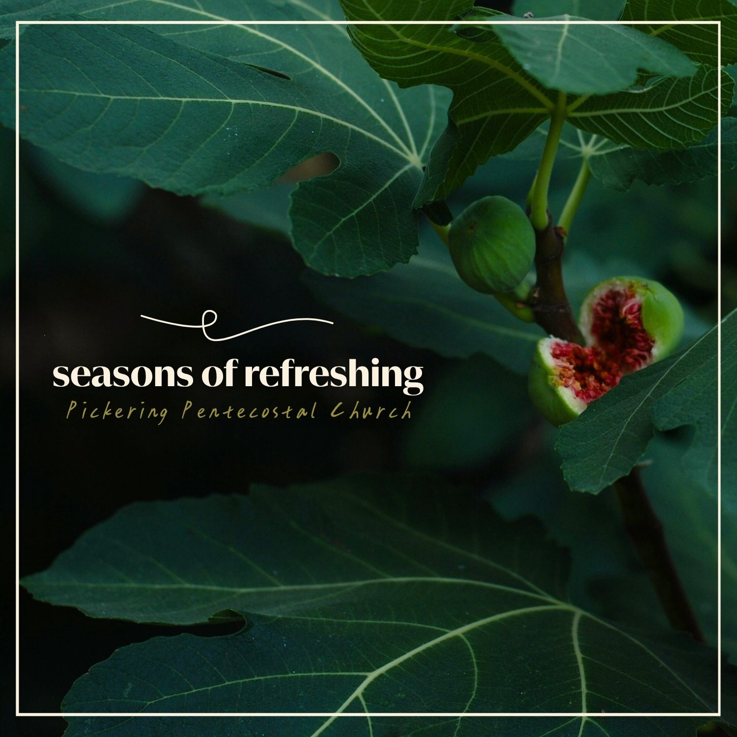 Flourishing Where God Has Placed You (Rev. Ewen Butler)