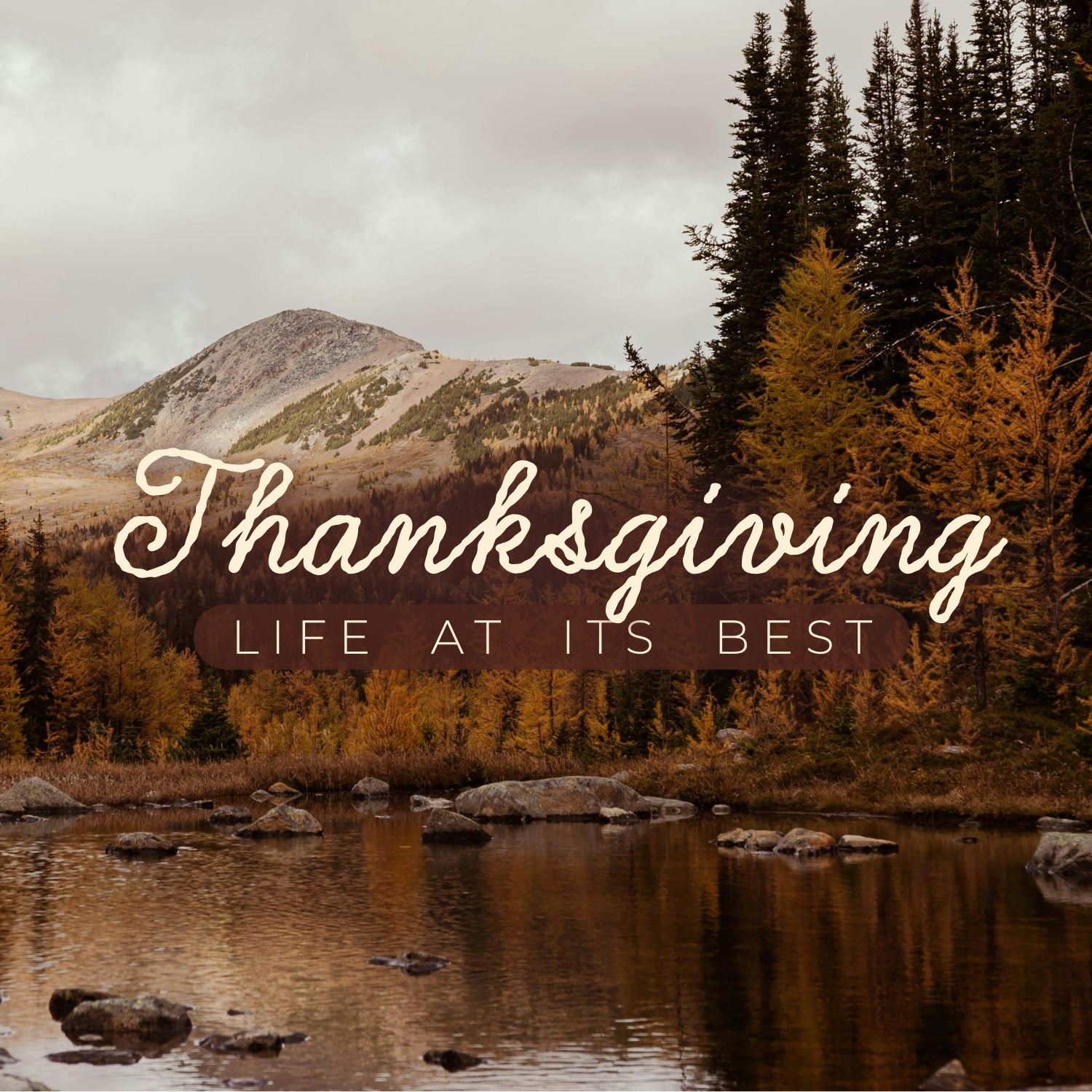 Thanksgiving: Life At It's Best