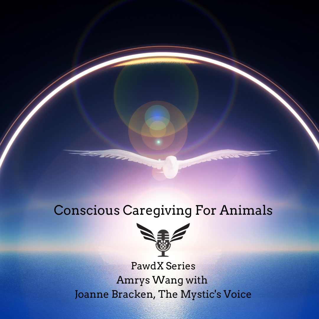 TRE Conscious Caregiving For Animals 11 Joanne Bracken (S1-120)