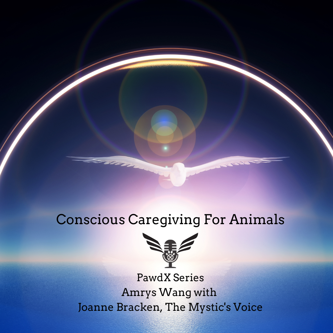 TRE PAWDX LIVE Conscious Caregiving For Animals 12 Joanne Bracken 2 (S2-02)
