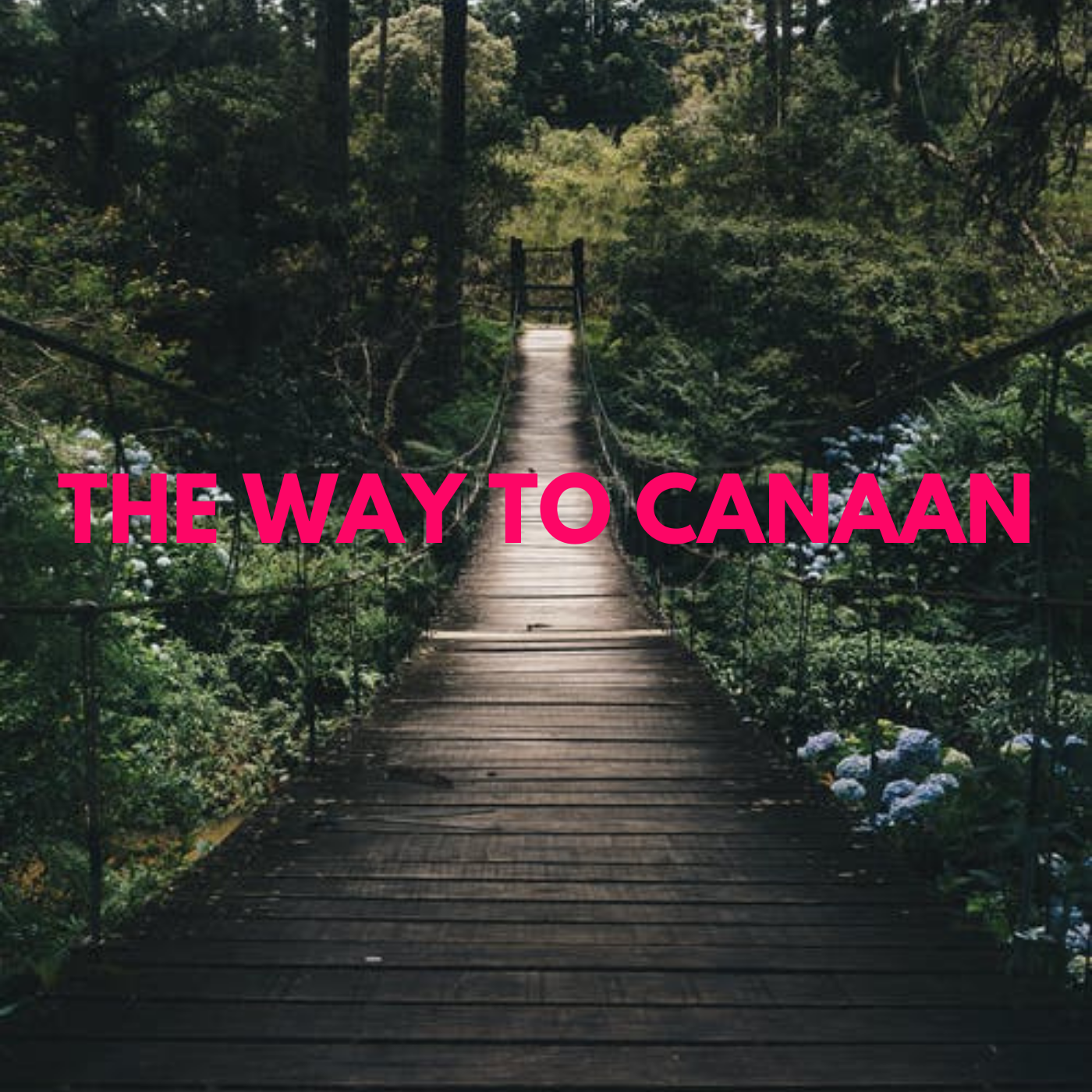 THE WAY TO CANAAN
