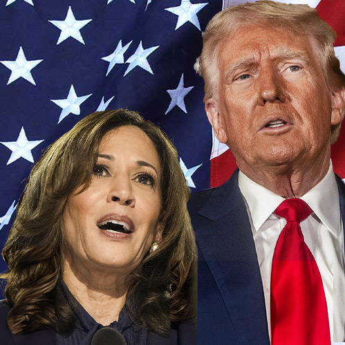 Economic Illiteracy of Trump and Harris | Independent Outlook 64