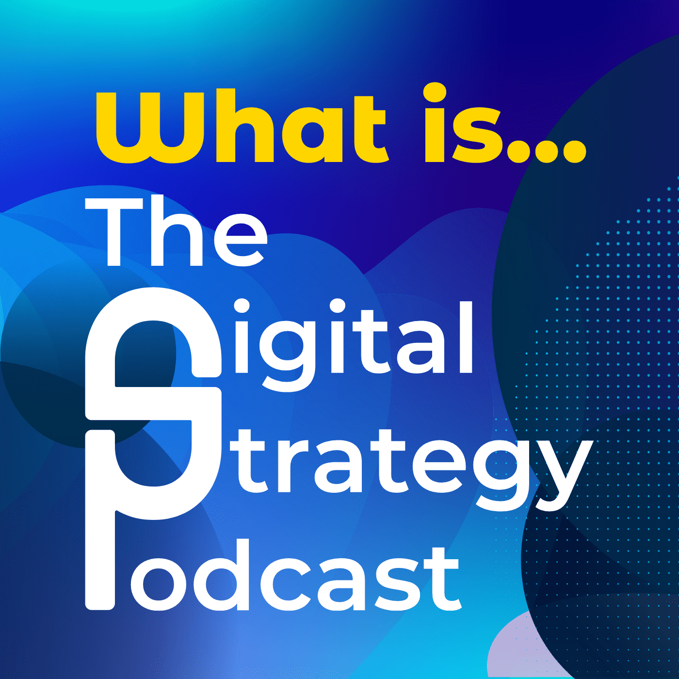What is The Digital Strategy Podcast? What is The Digital Strategy Podcast?