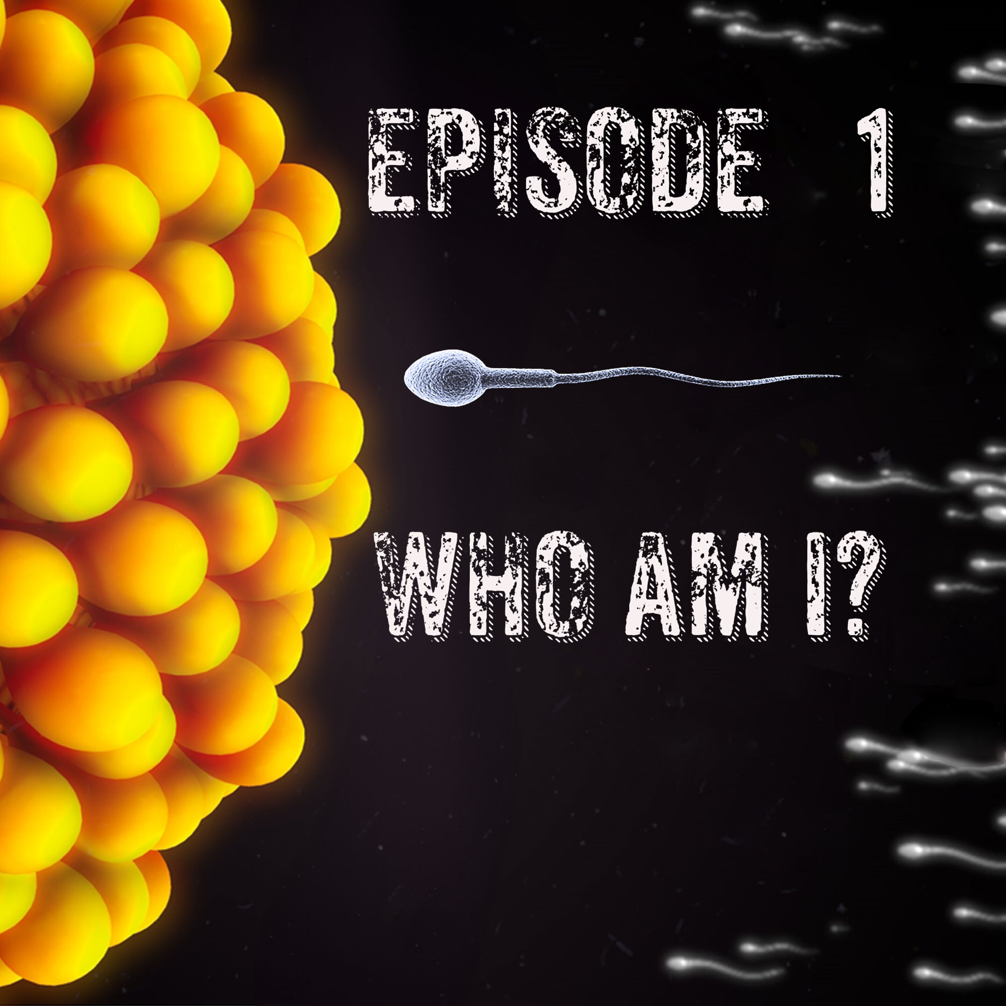 Episode 1 - Who Am I?