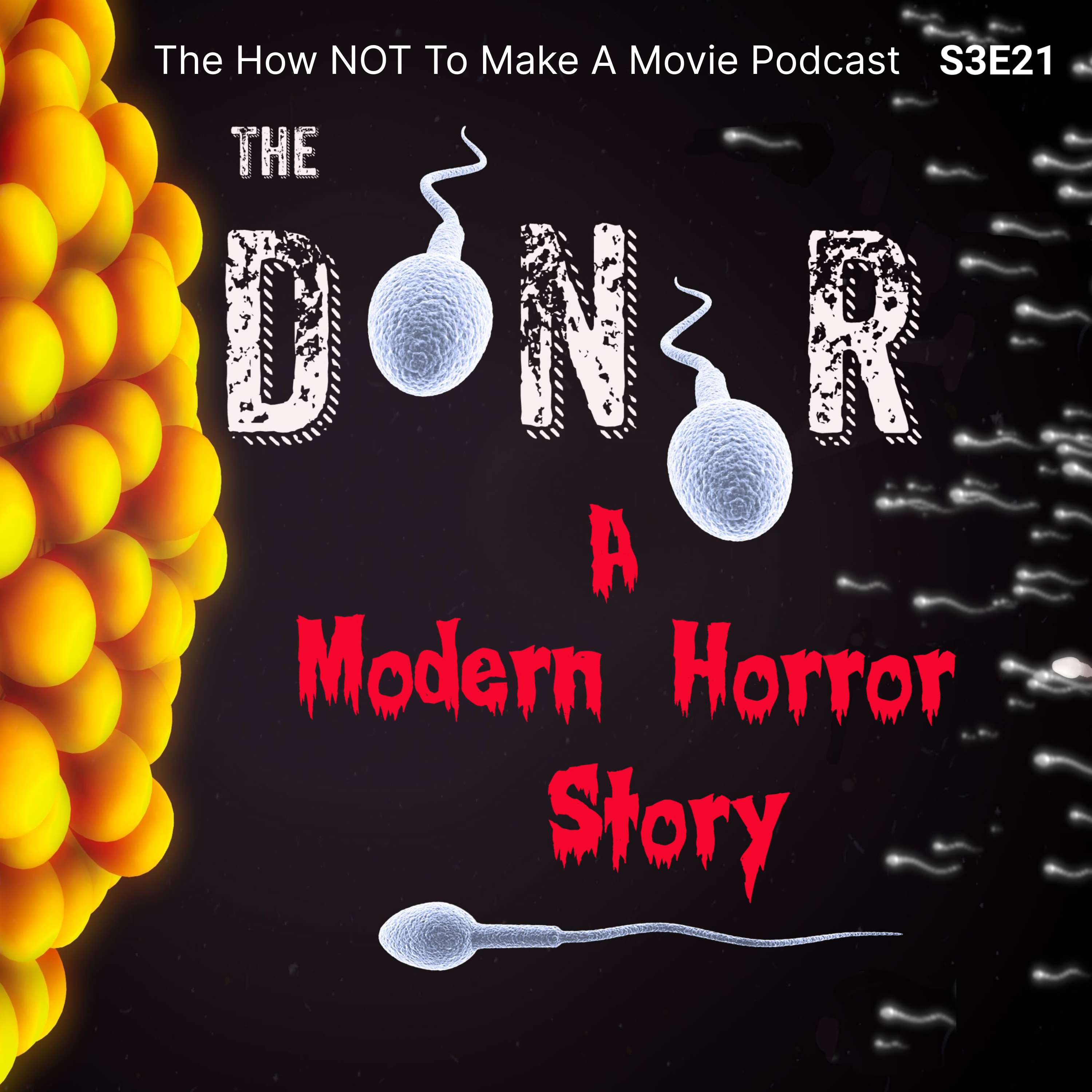 S3E21: The Donor - A Modern HORROR Story
