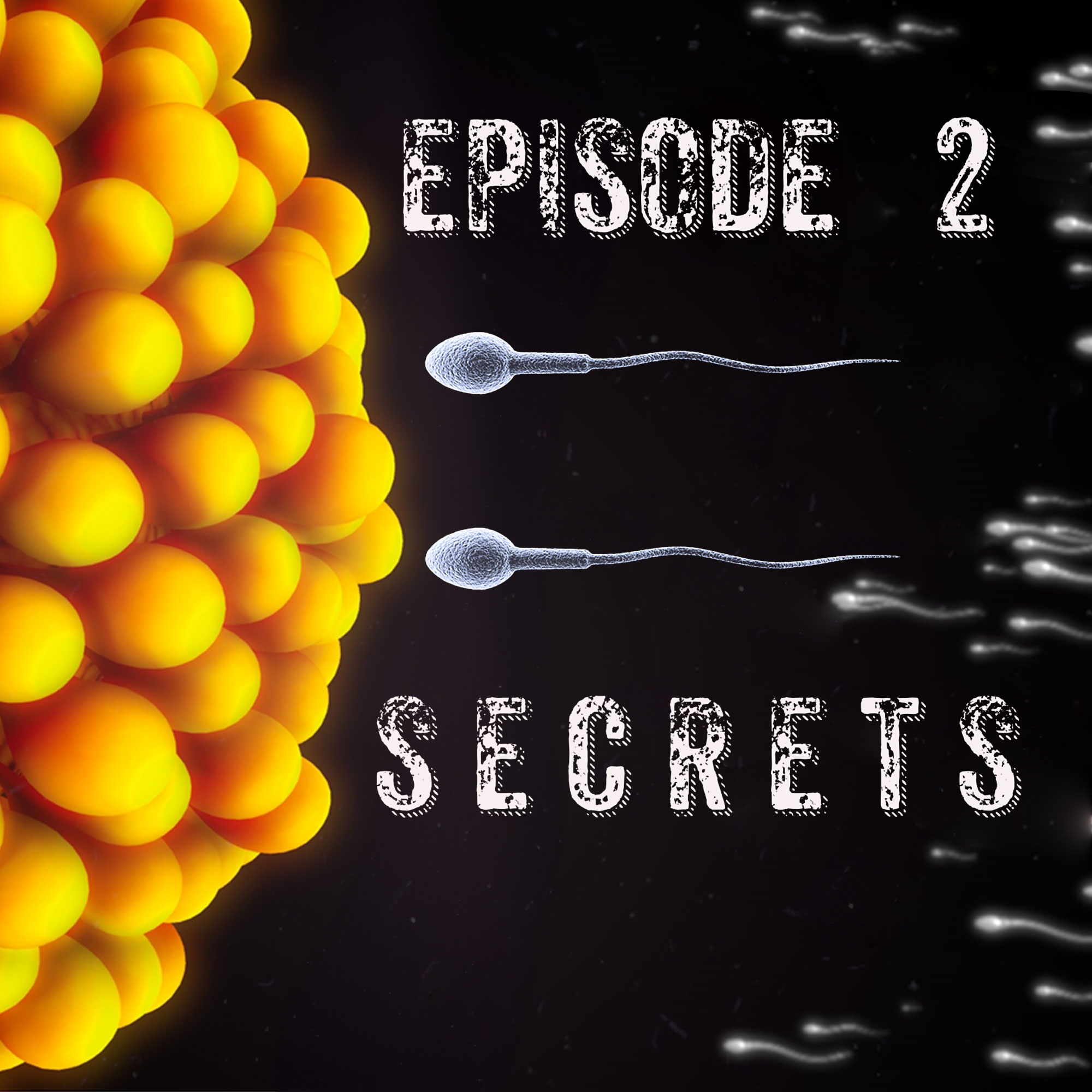 Episode 2 Secrets