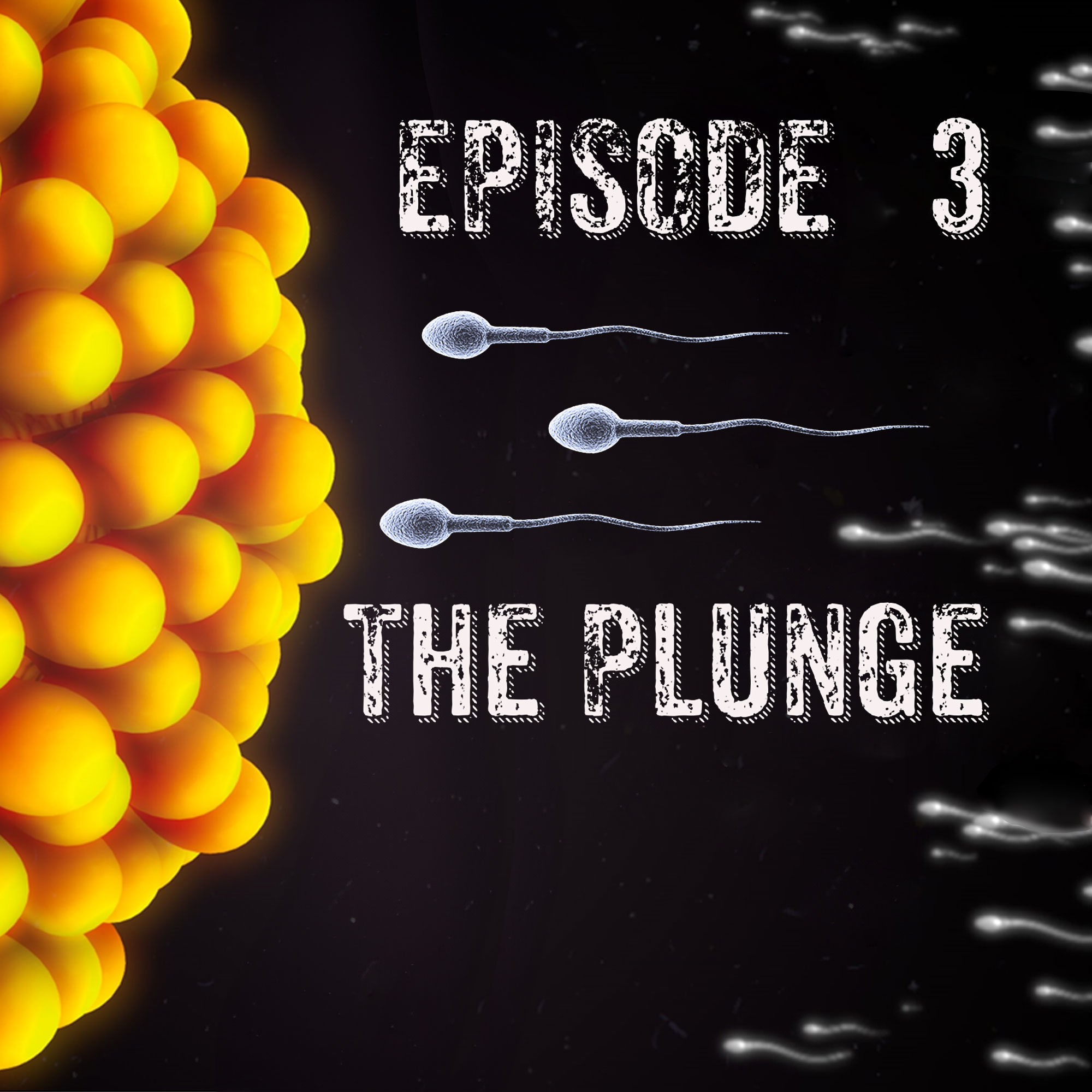 The Donor Podcast: A Modern Horror Story - Episode 3 The Plunge (Free Episode!)
