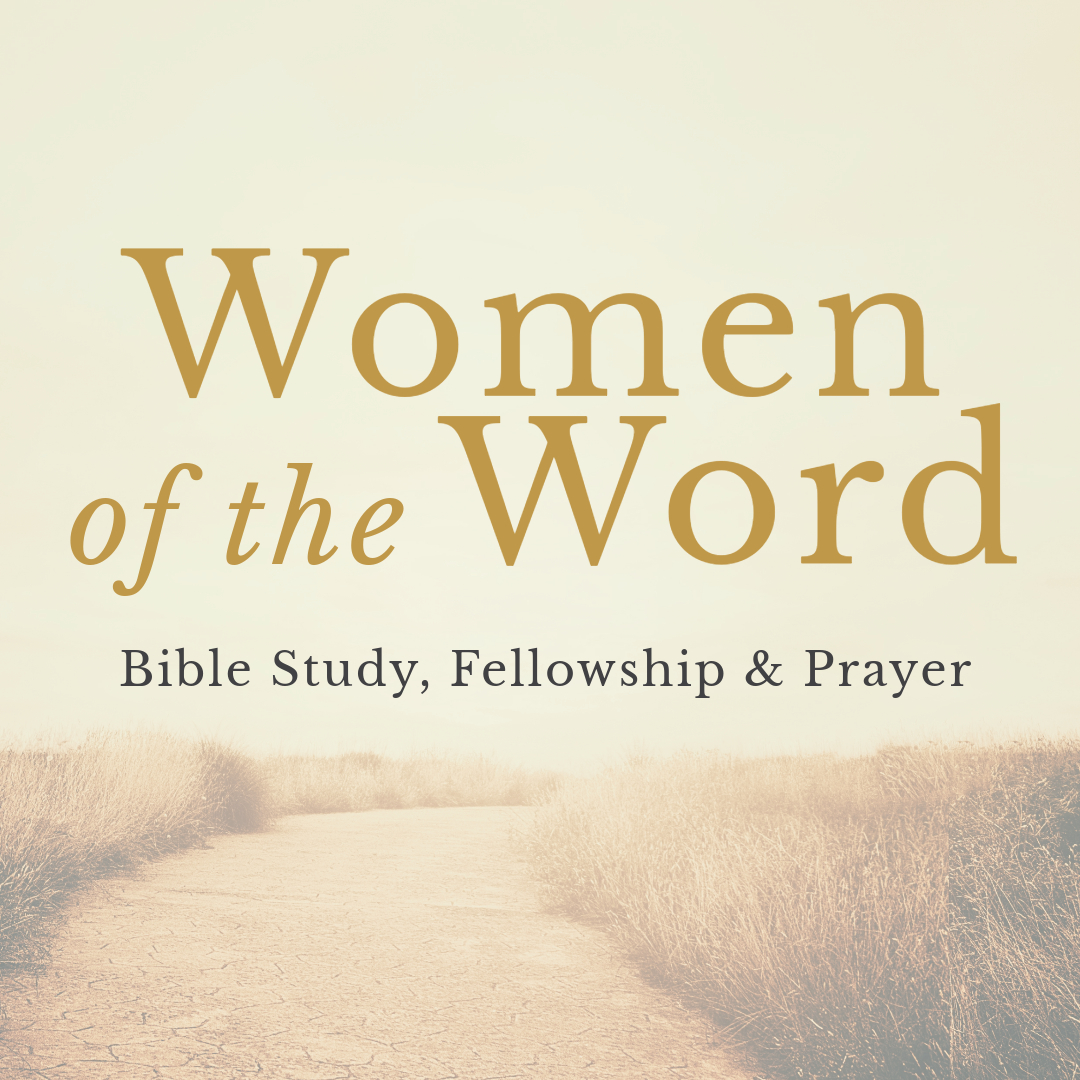 Introduction: Romans 1-16