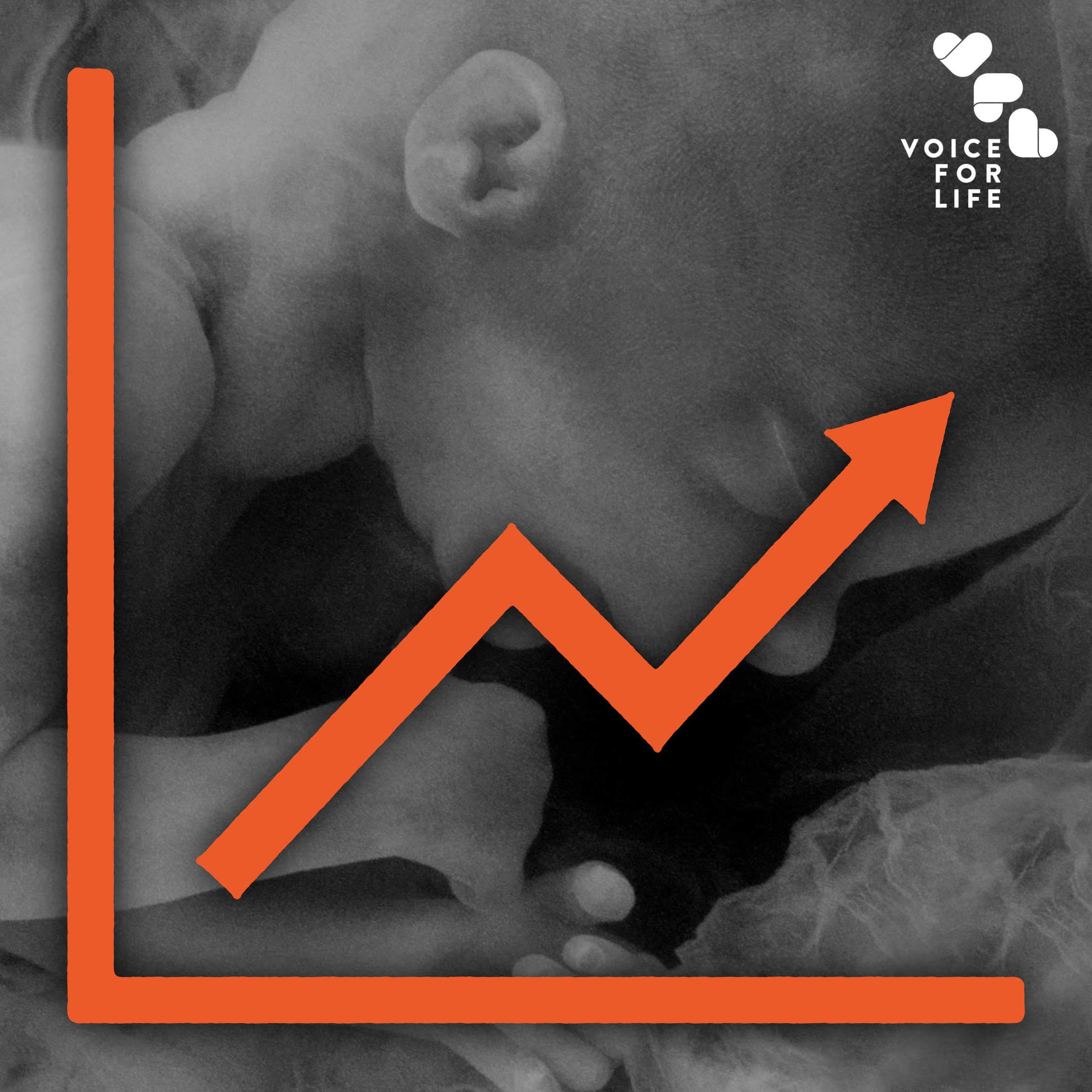 Latest NZ Abortion Report Shows A Massive Increase Latest NZ Abortion Report Shows A Massive Increase