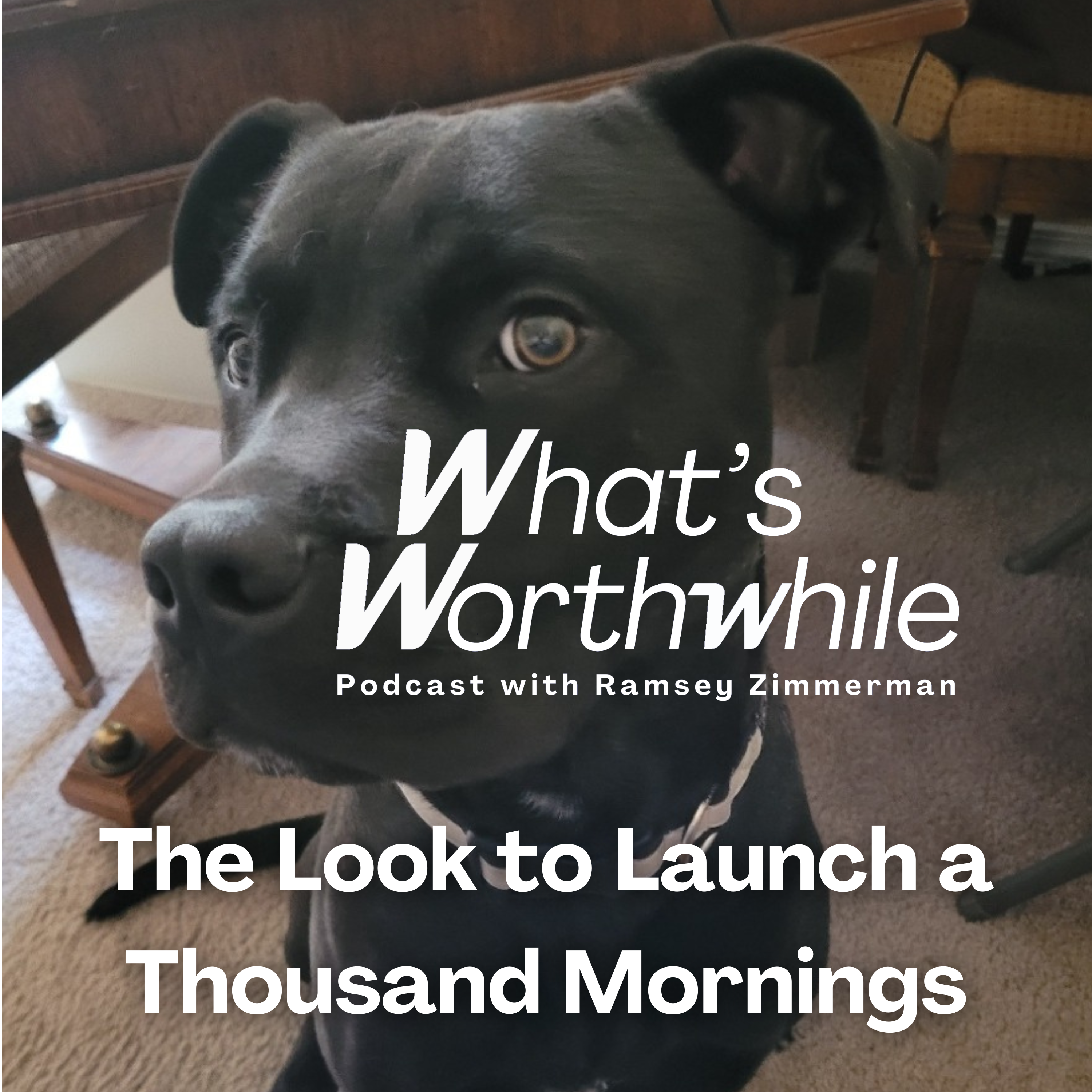 Episode Cover