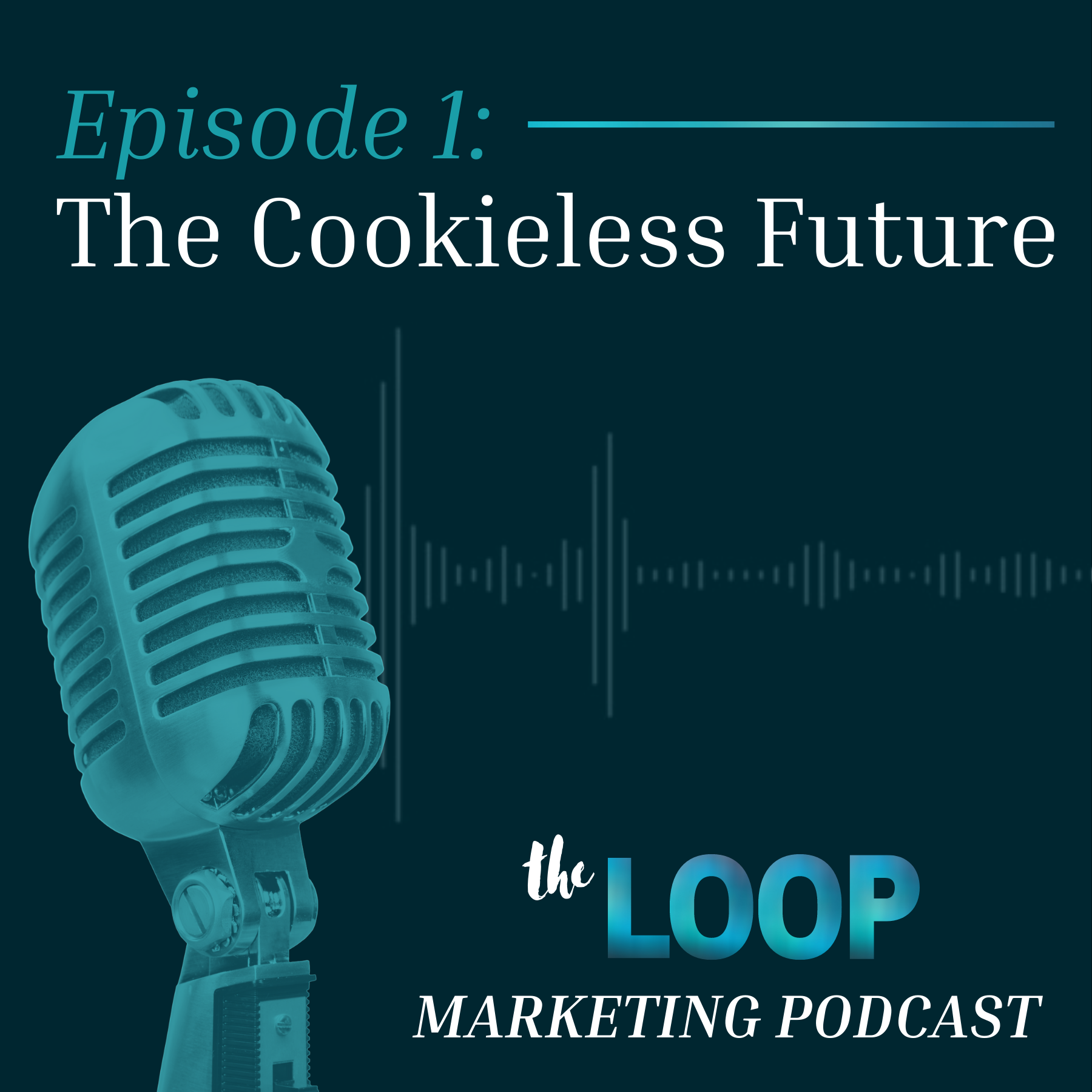 Navigating the Cookieless Future