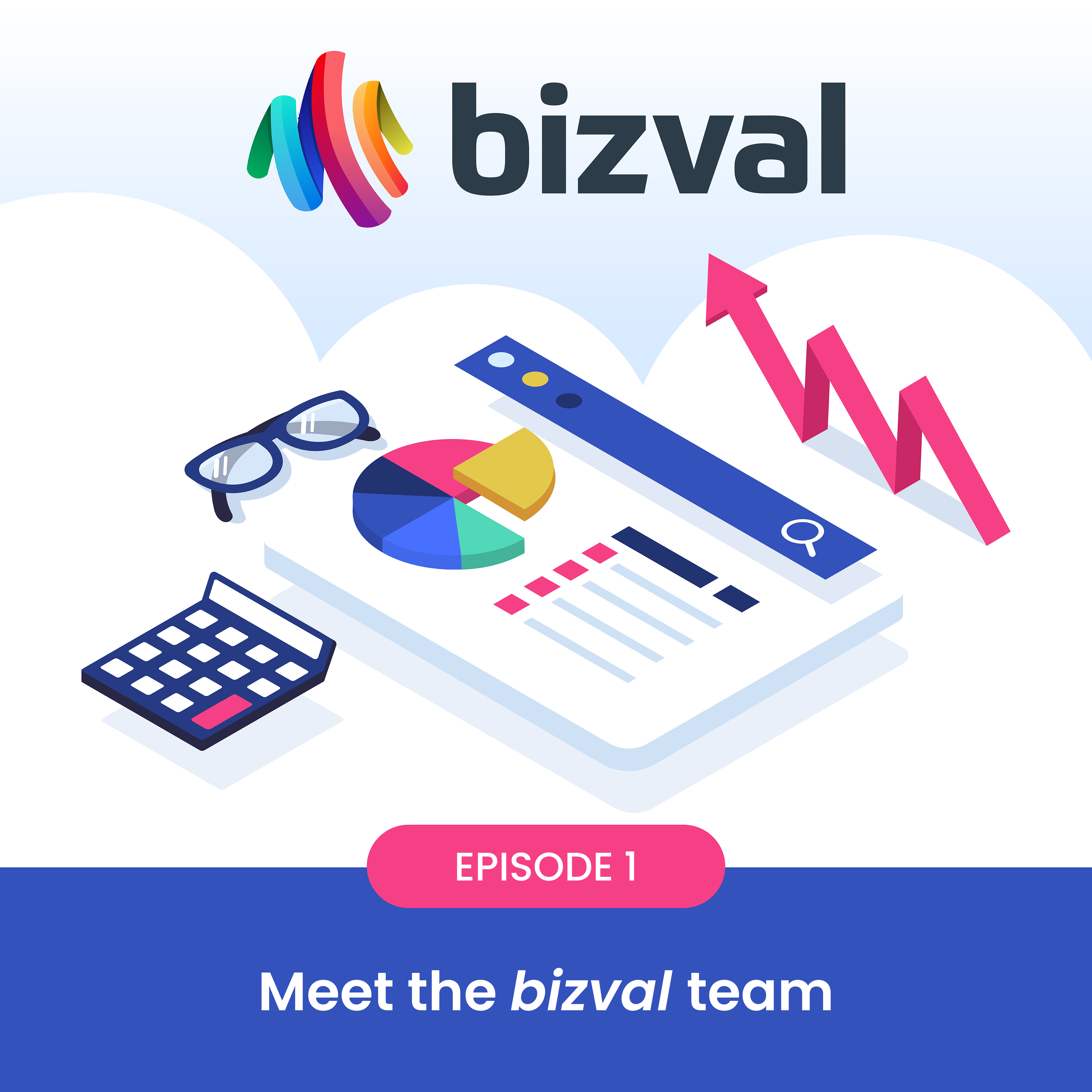 We value your company #1: Meet the bizval team