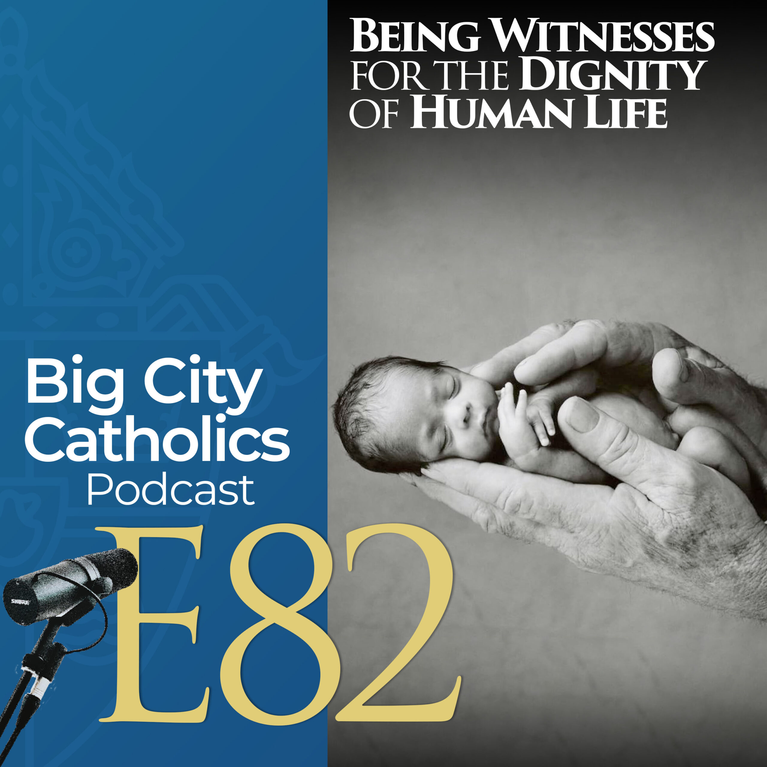 Episode 82 - Being Witnesses for the Dignity of Human Life