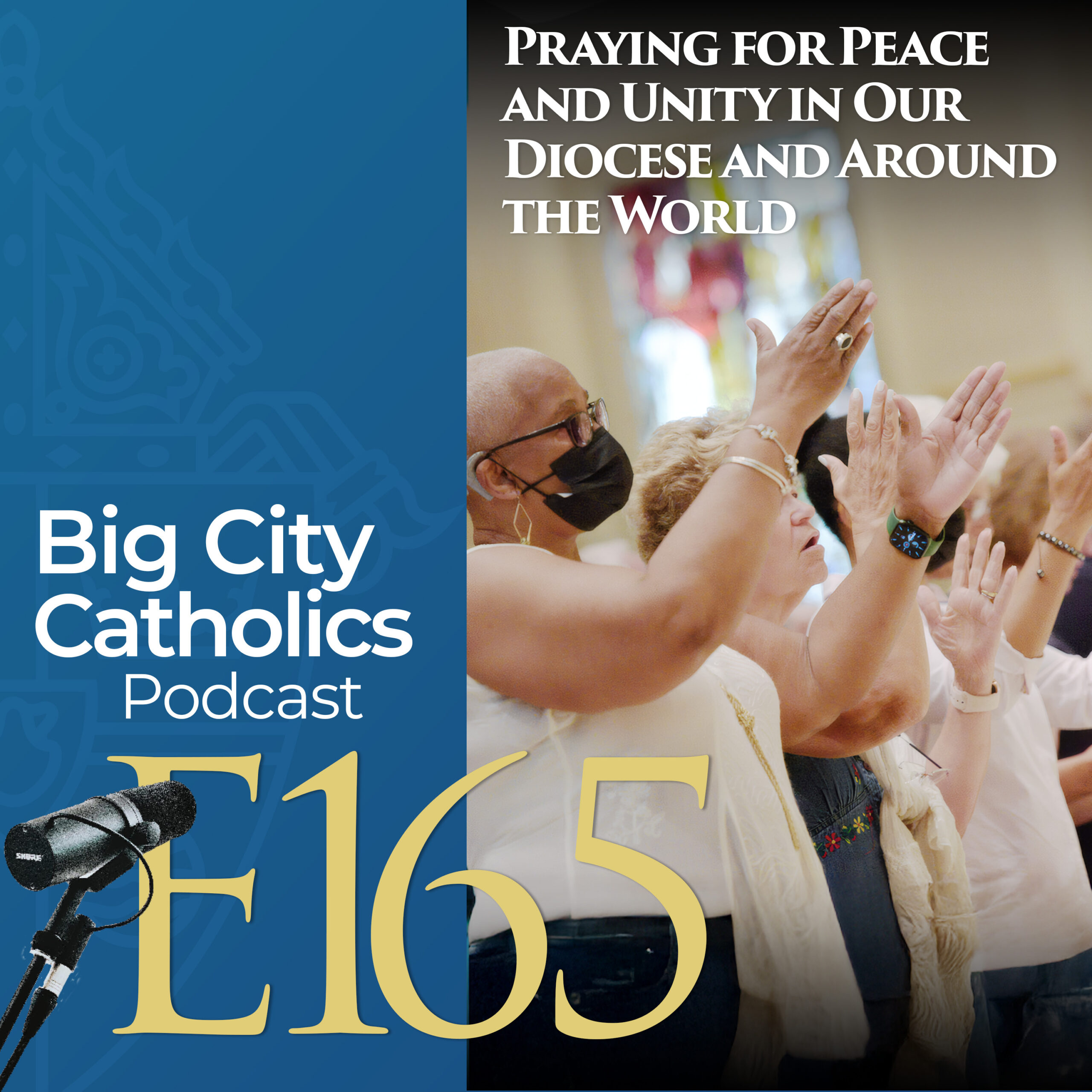 Episode Cover