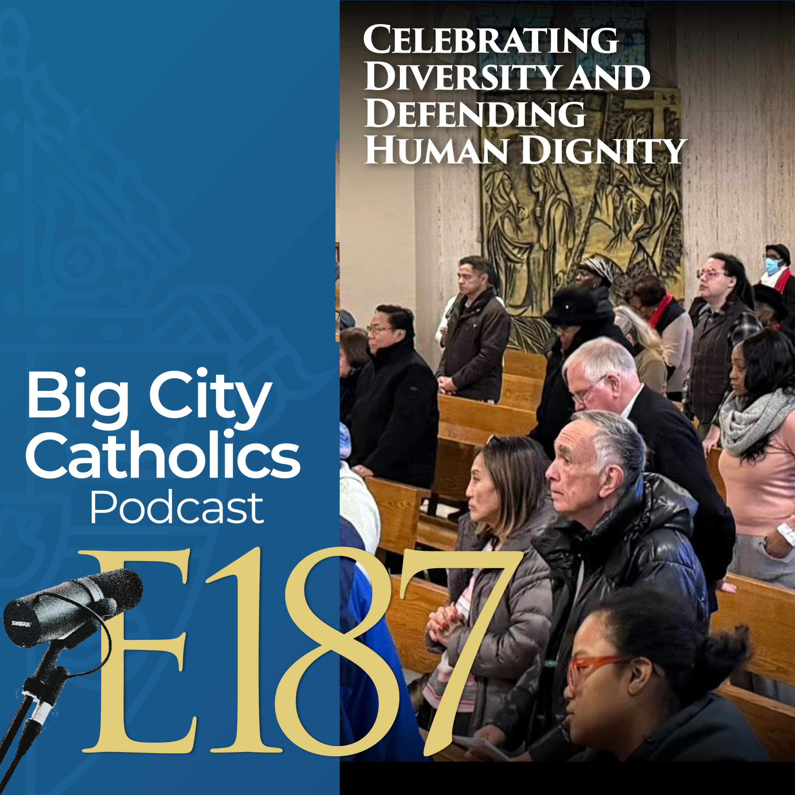 Episode 187 - Celebrating Diversity and Defending Human Dignity
