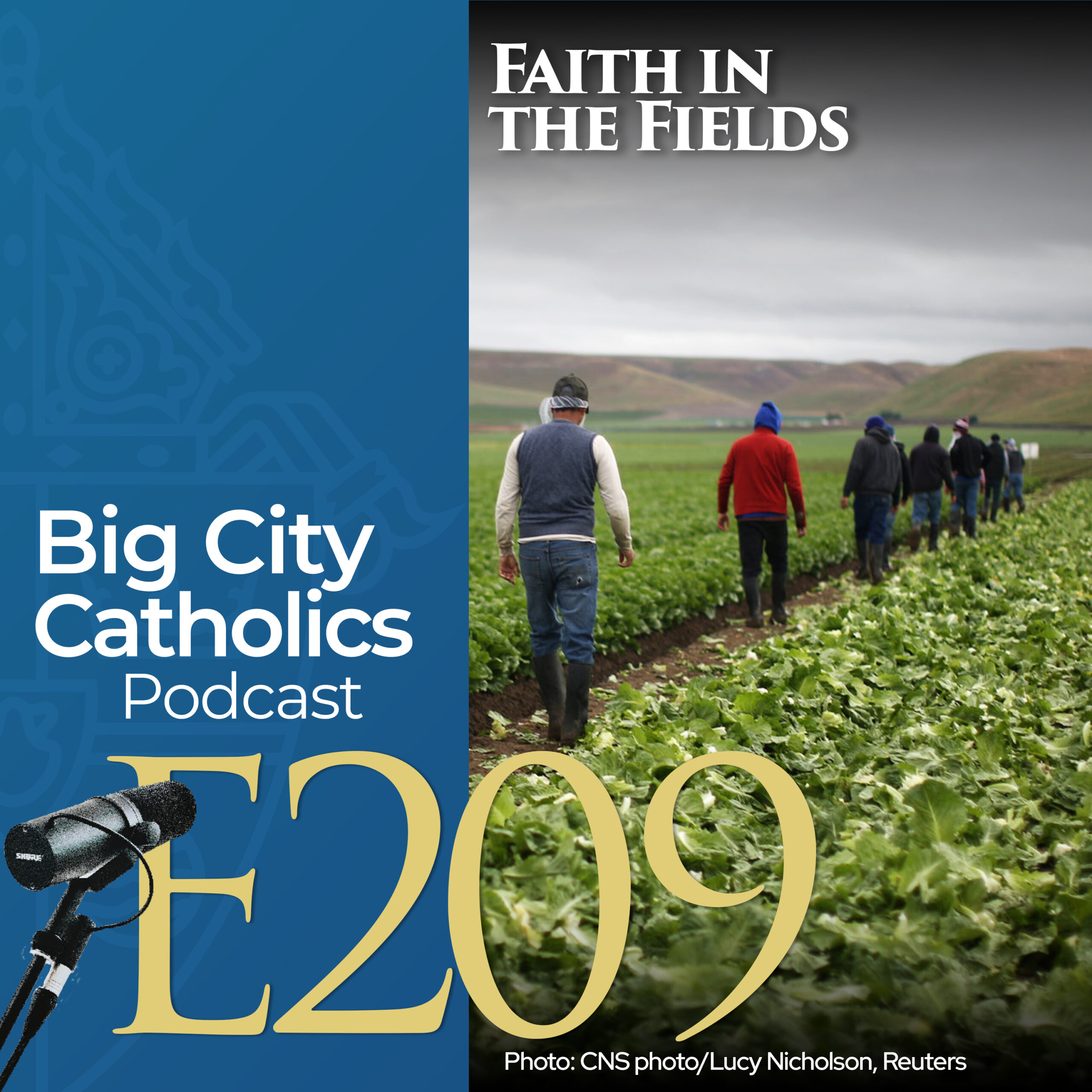 Episode 209 - Faith in the Fields