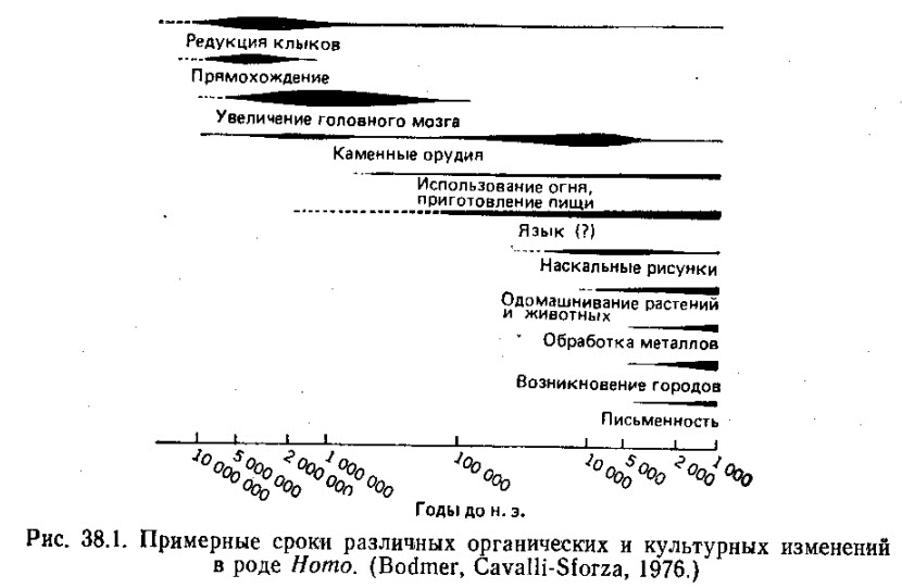  Глава 38. От органической эволюции к эволюции человека. Социальные факторы